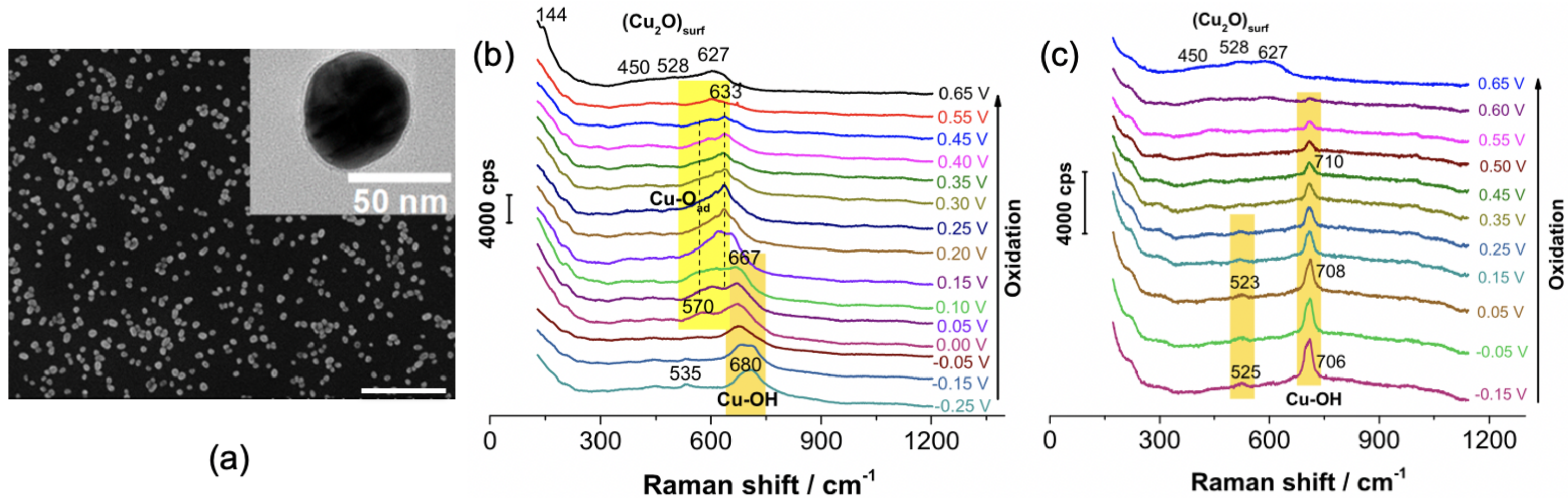 Photonics 08 00046 g004