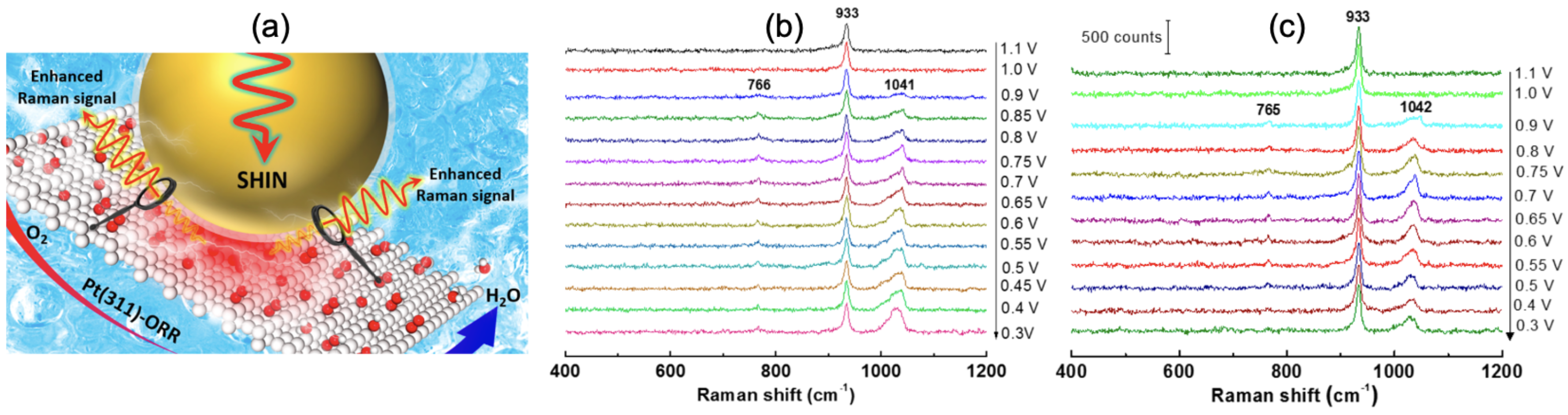 Photonics 08 00046 g005
