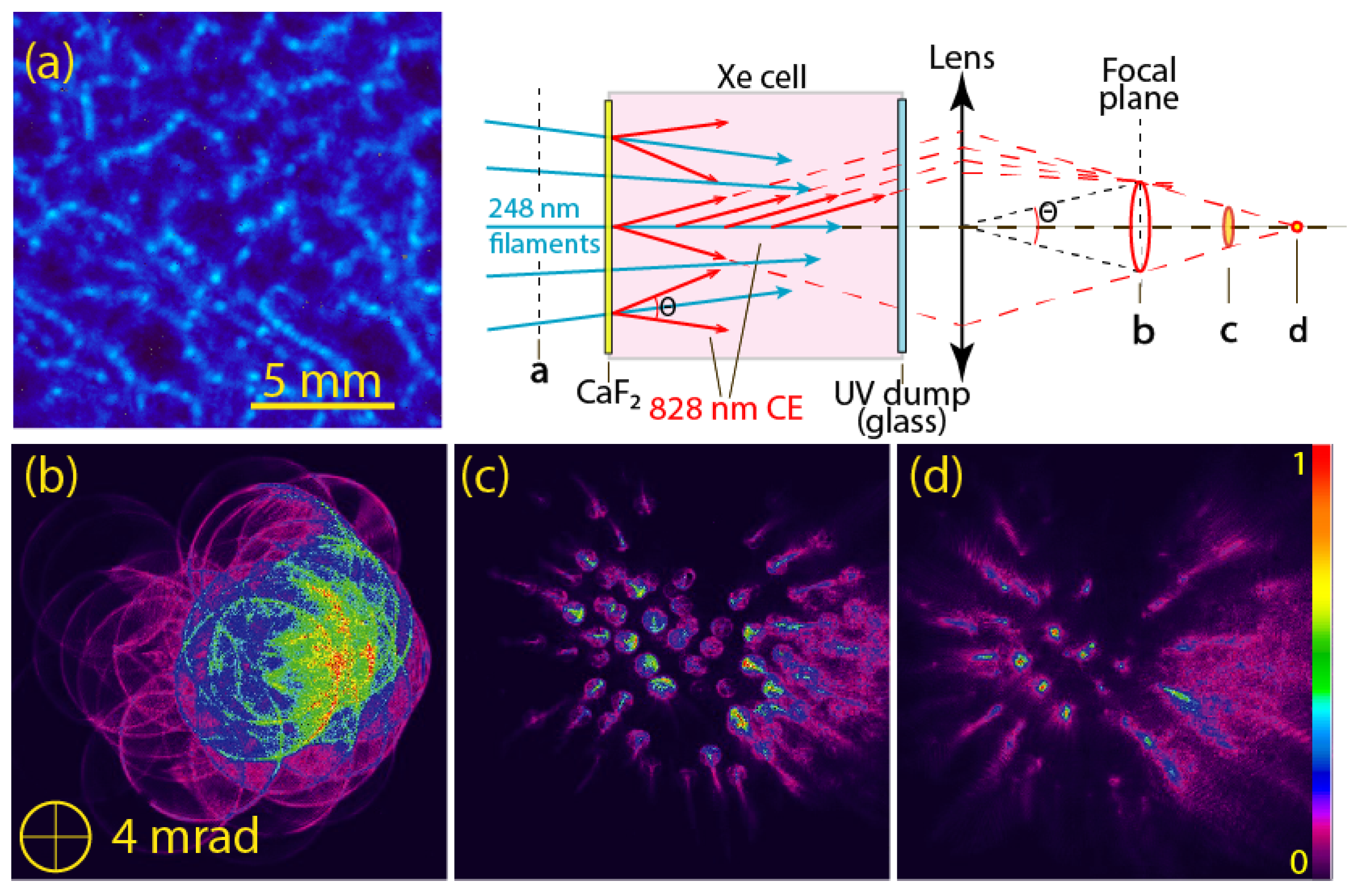 Photonics 08 00047 g002