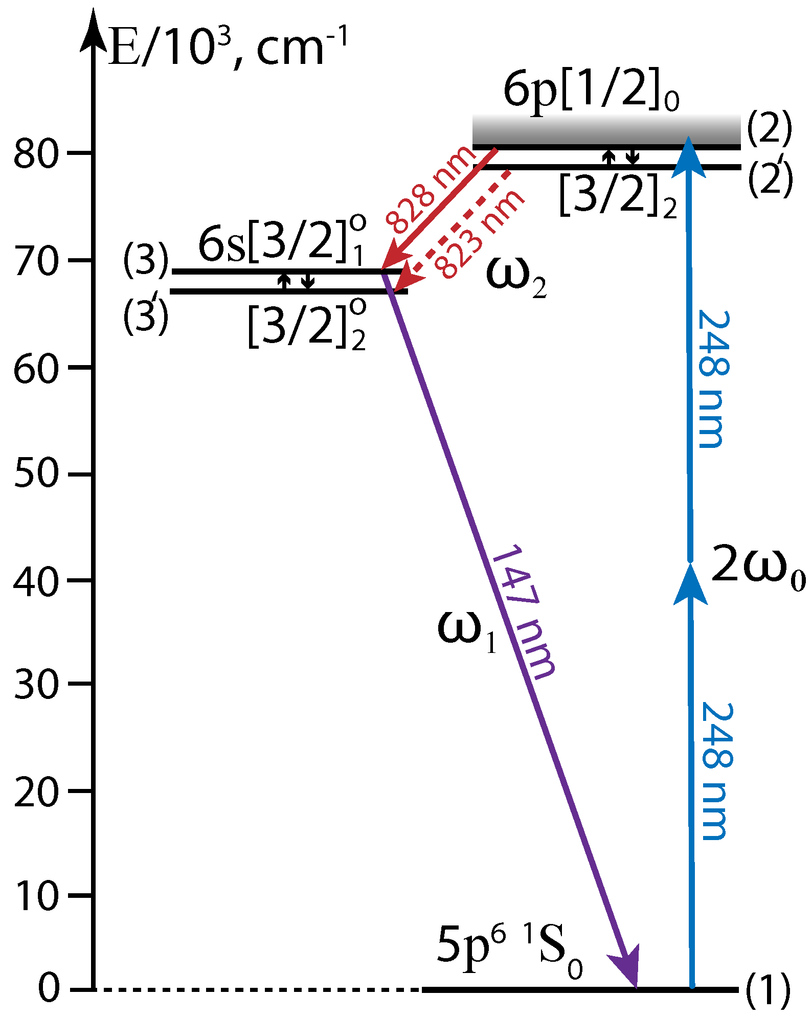 Photonics 08 00047 g004