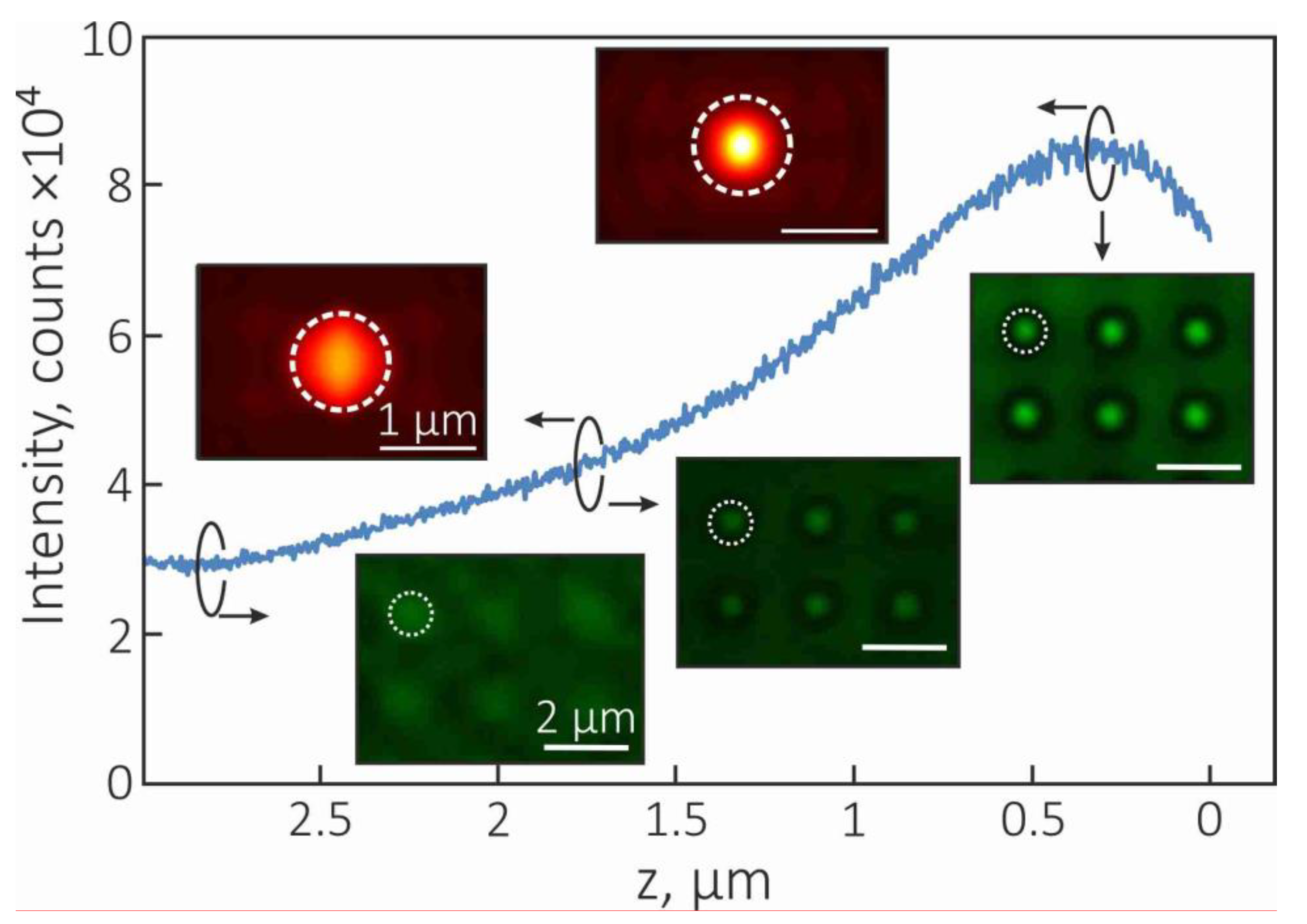 Photonics 08 00054 g004