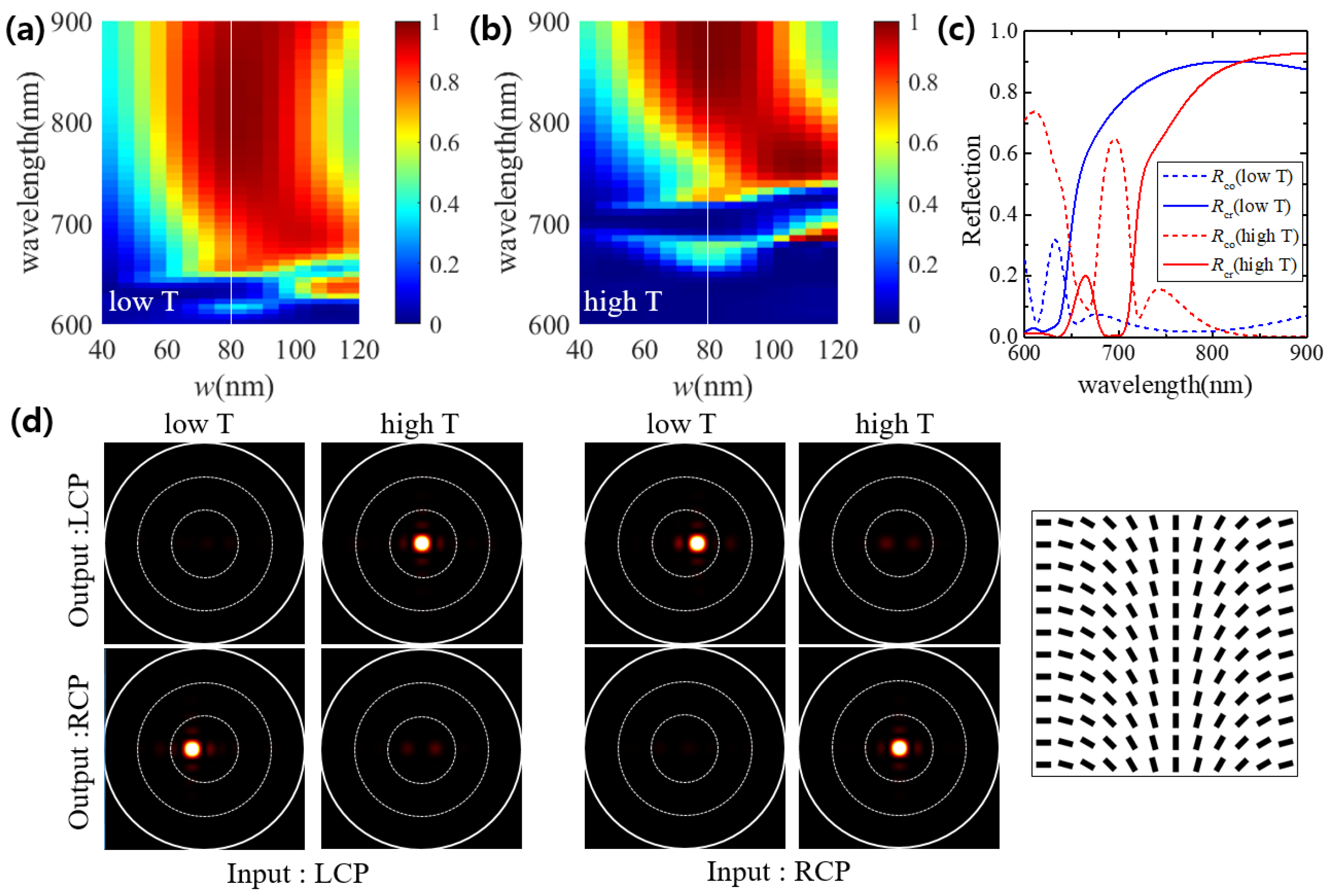 Photonics 08 00057 g003