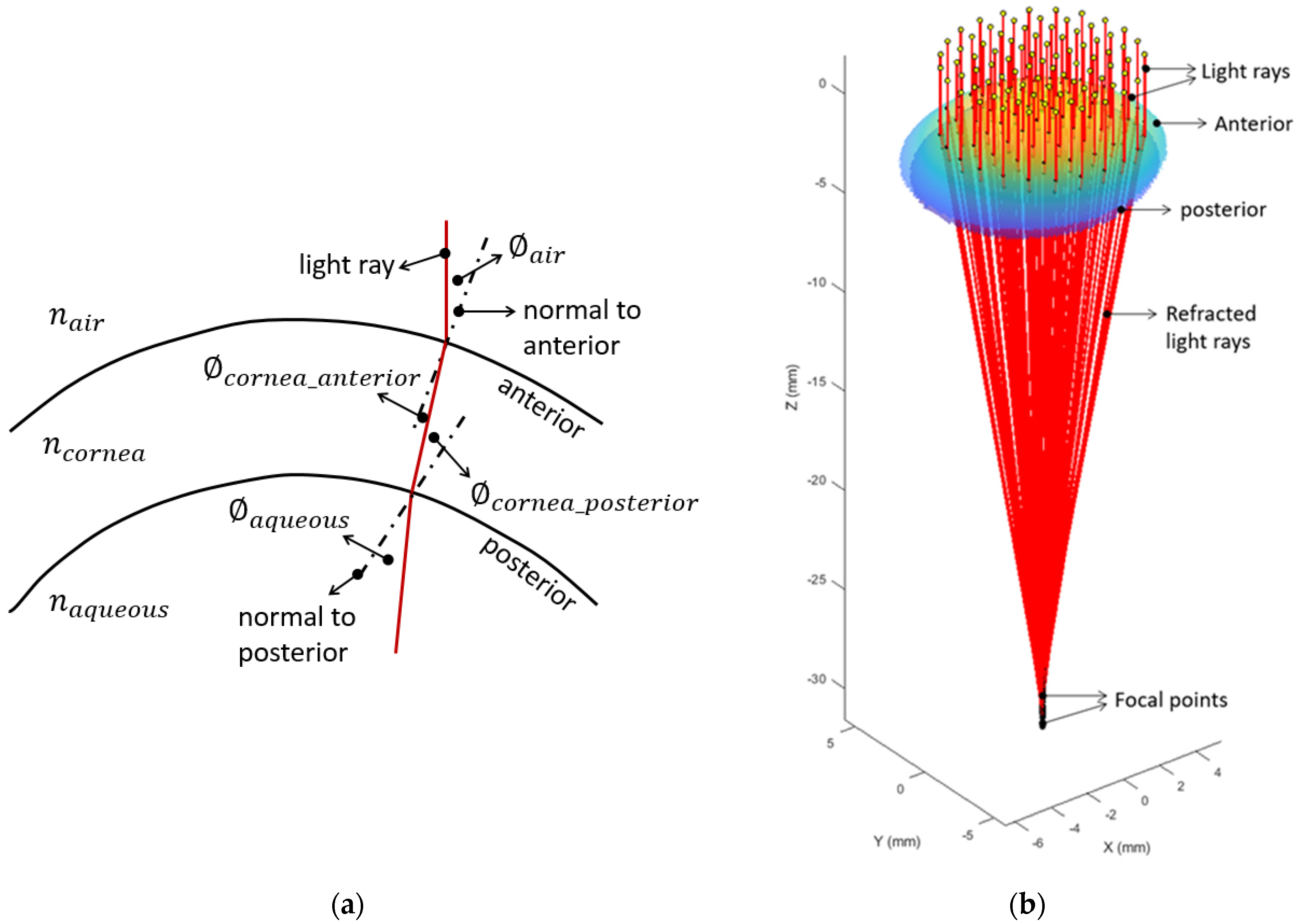Photonics 08 00061 g001