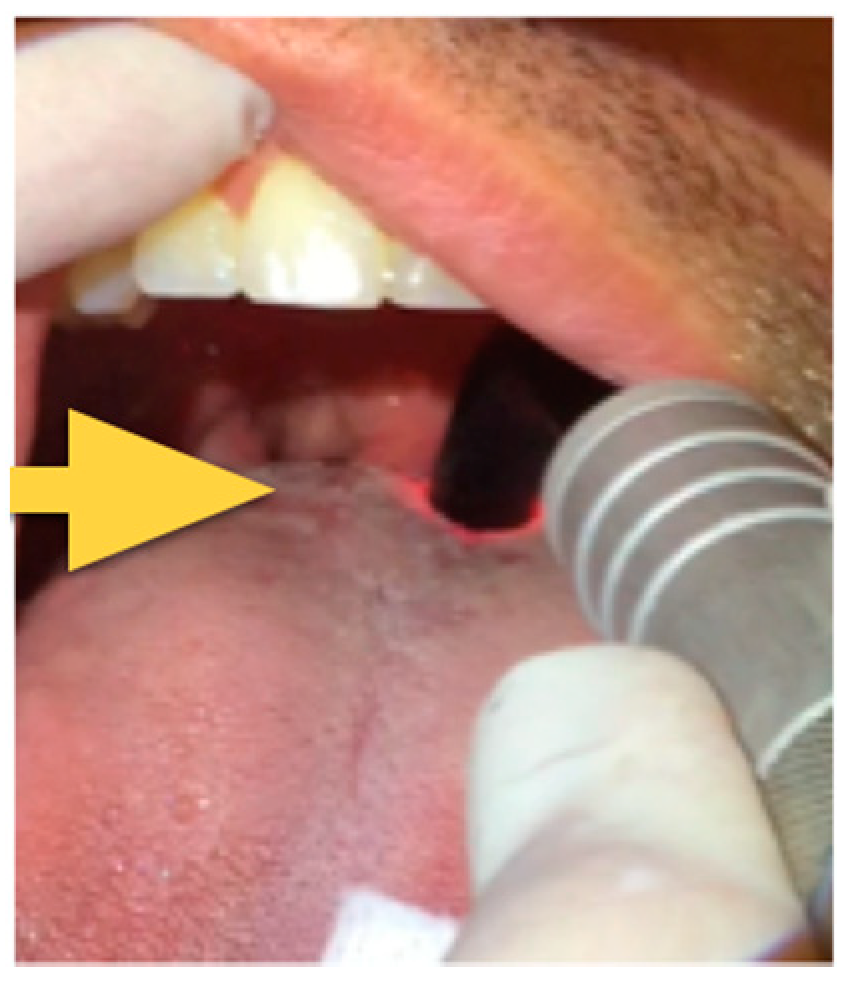 Photonics 08 00069 g002