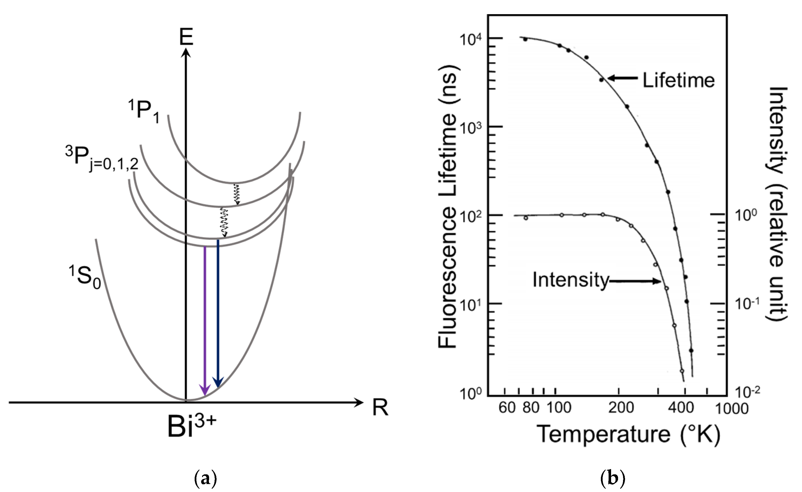 Photonics 08 00071 g008