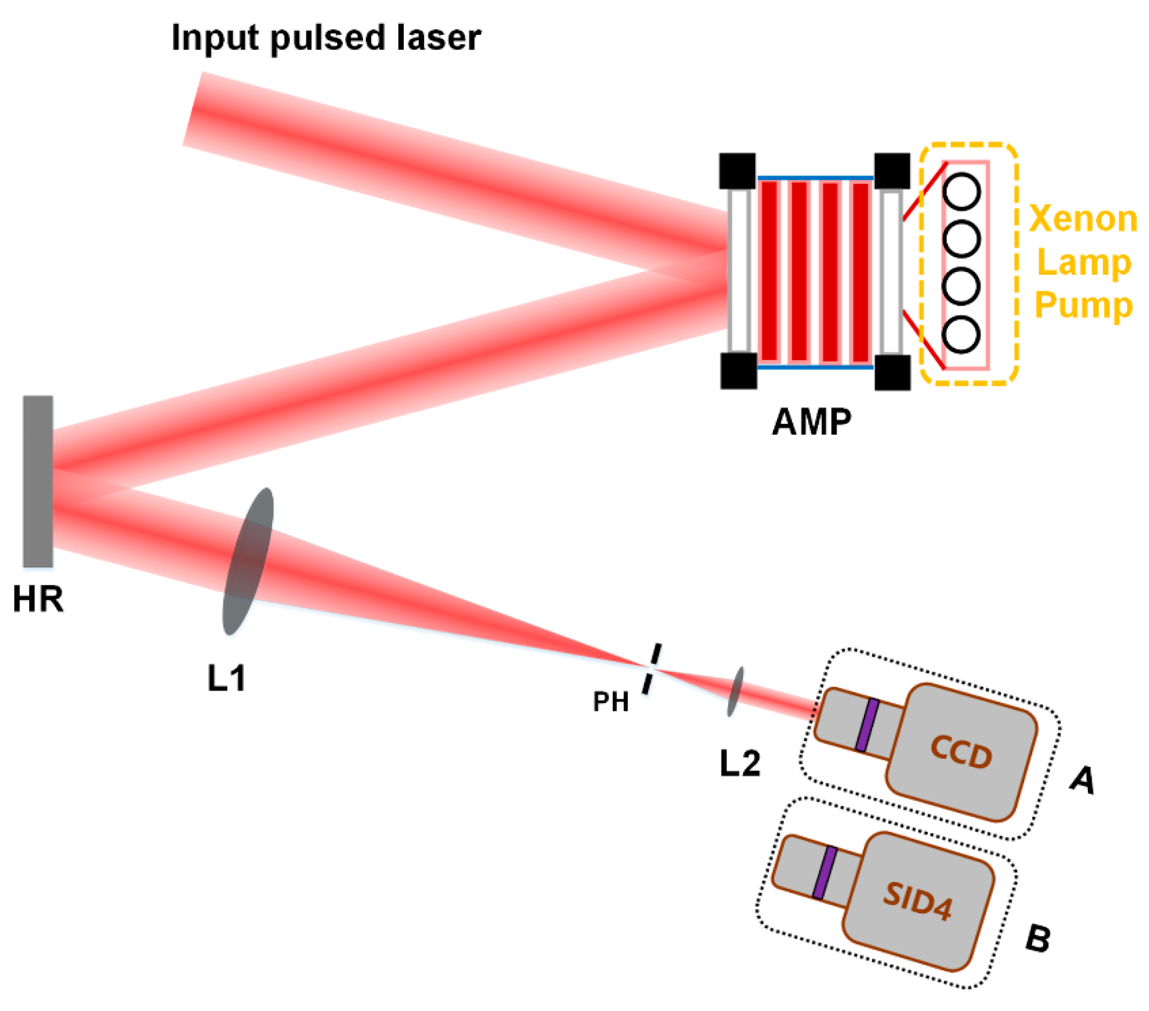 Photonics 08 00097 g011