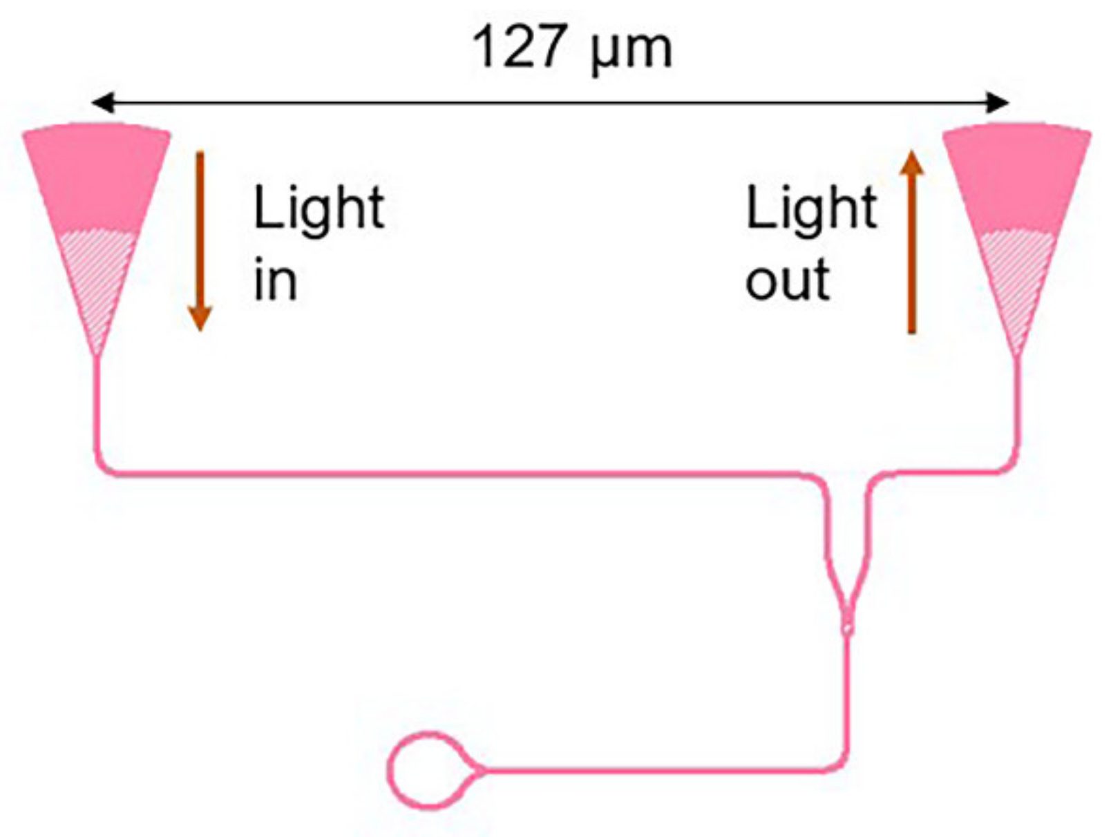 Photonics 08 00099 g009