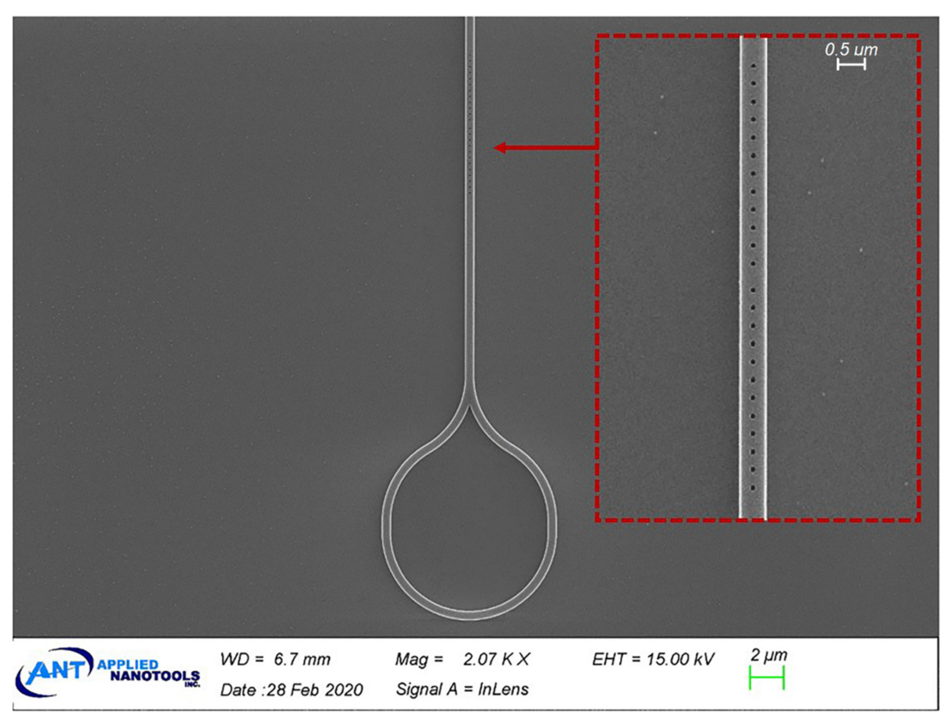 Photonics 08 00099 g010