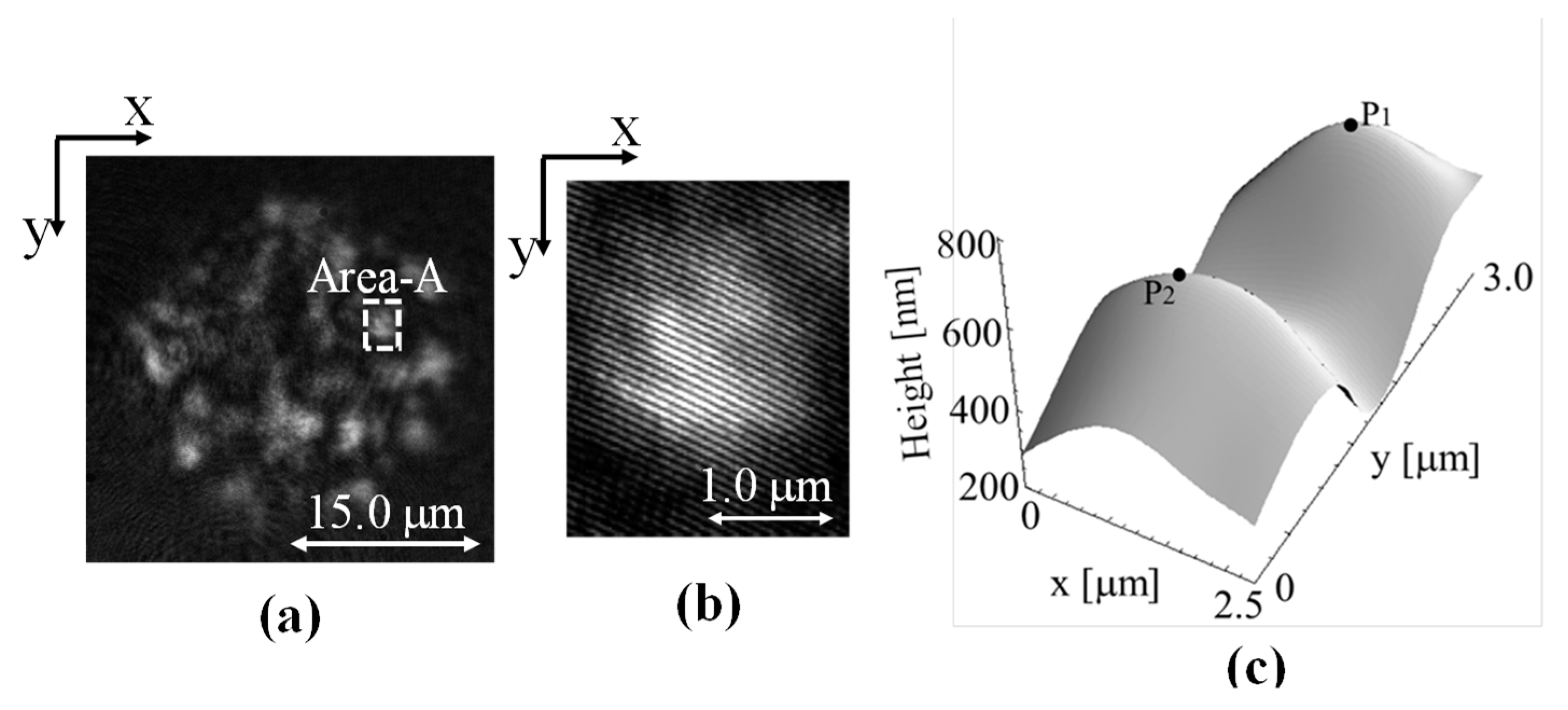 Photonics 08 00112 g005