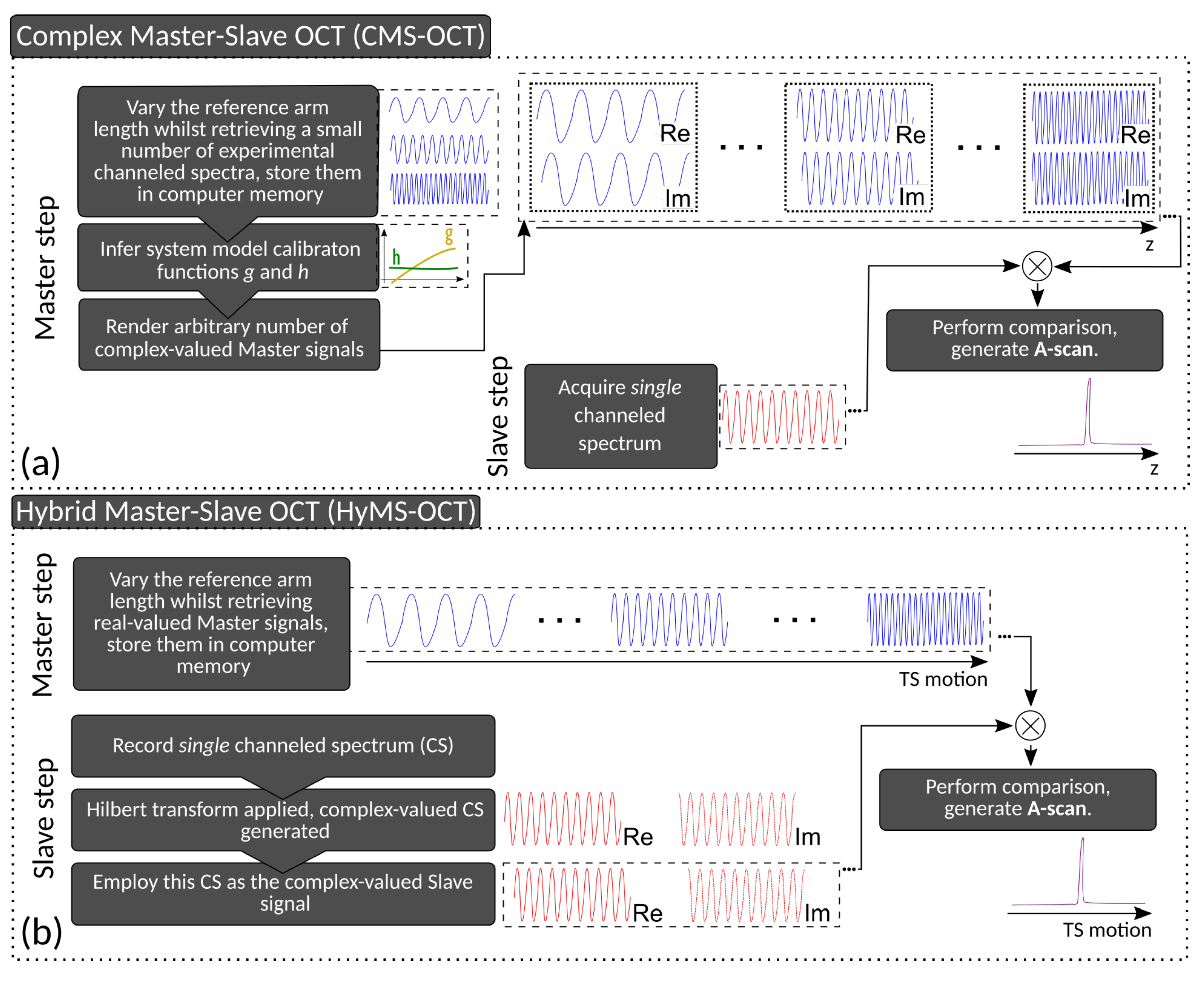Oct Method Akinetic Swept-Source Master–Slave-Enhanced Optical Coherence ...
