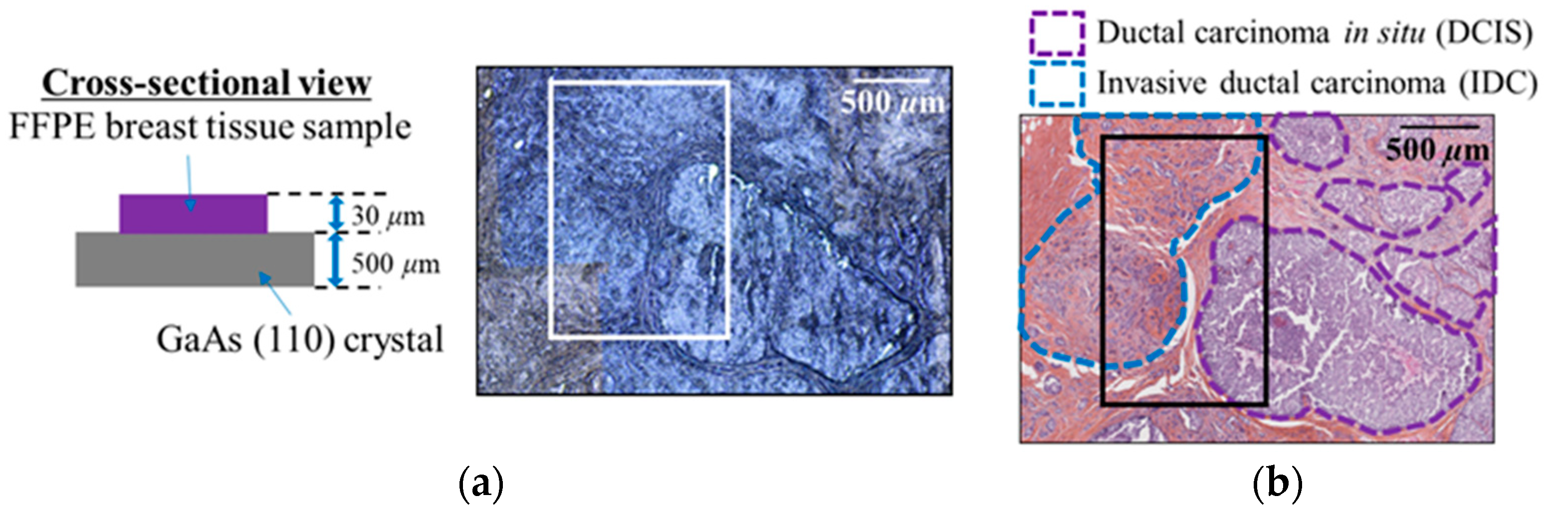 Photonics 08 00151 g003 Photonics 08 00151 g003