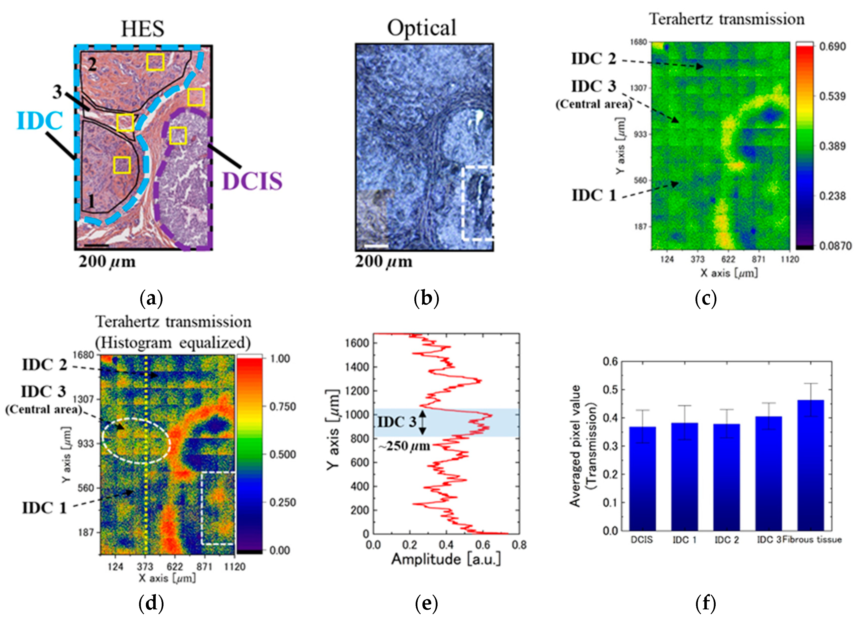 Photonics 08 00151 g004a Photonics 08 00151 g004a