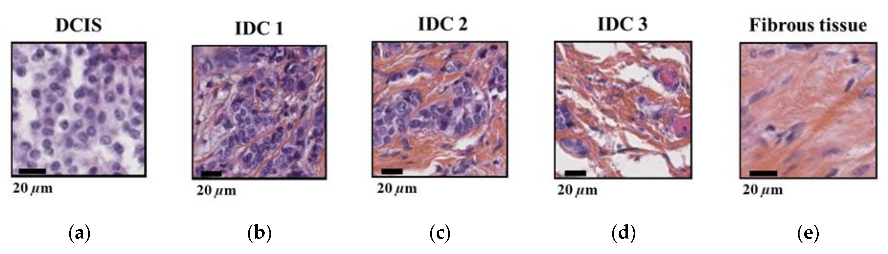 Photonics 08 00151 g005 Photonics 08 00151 g005
