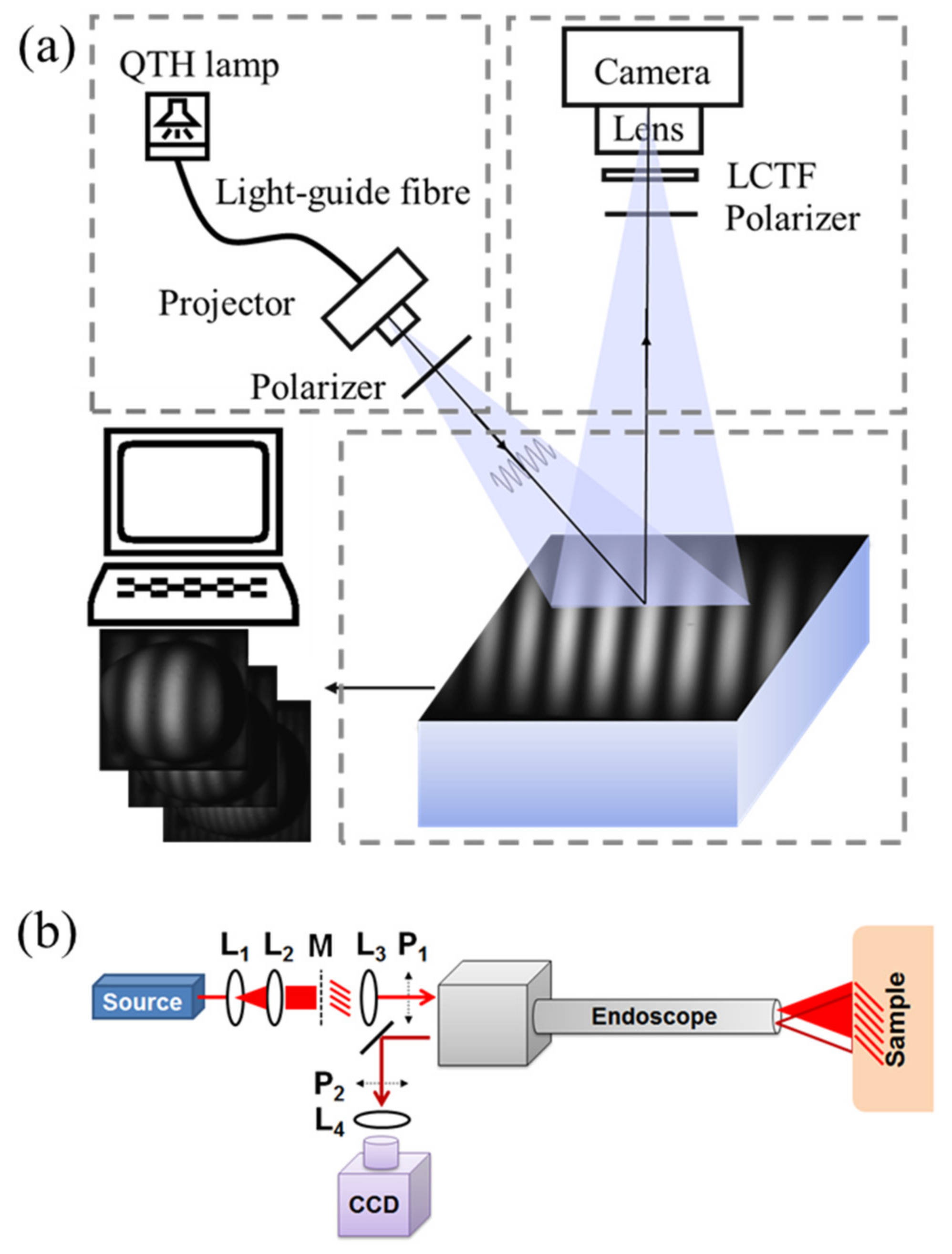 Photonics 08 00162 g001