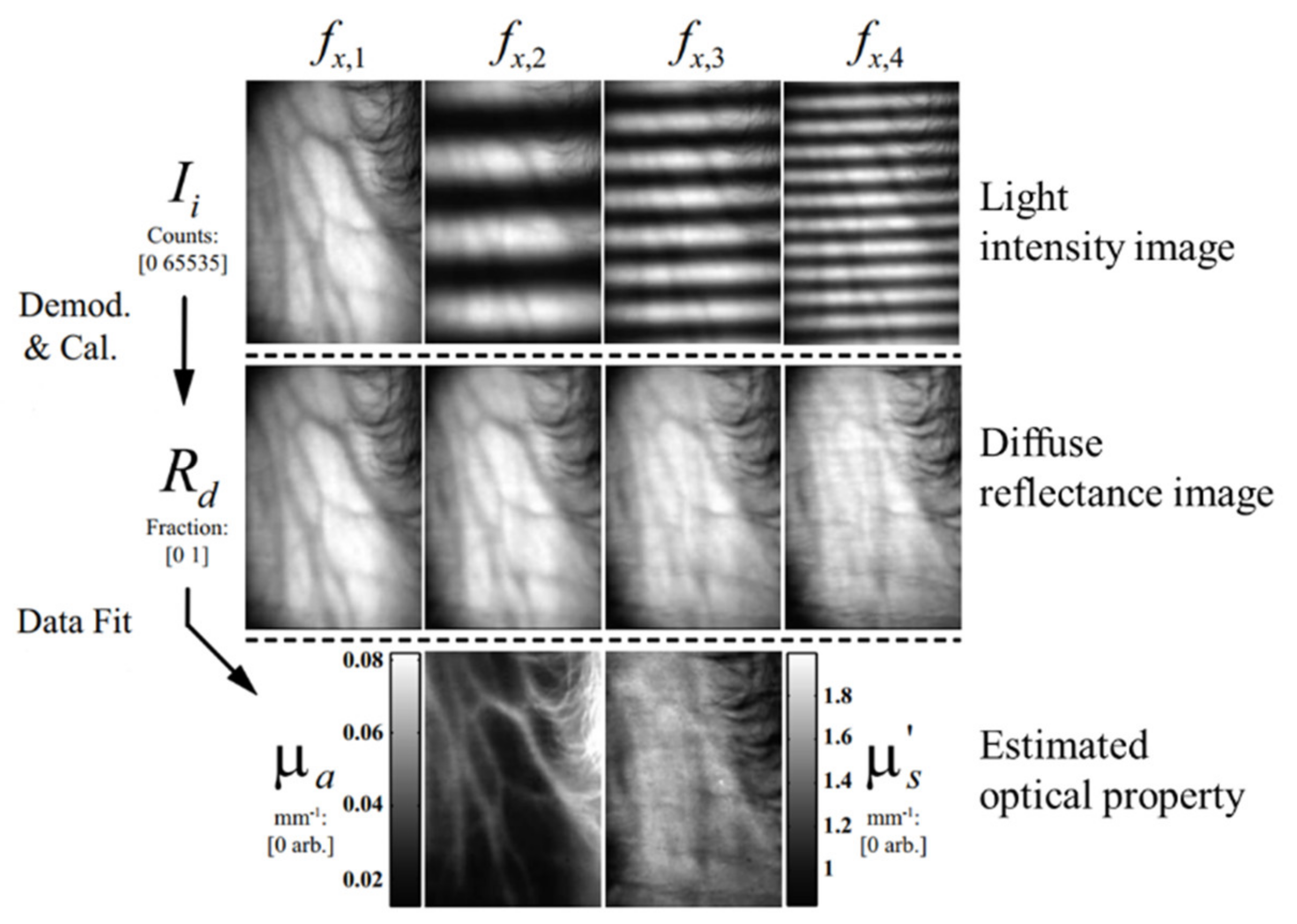 Photonics 08 00162 g002