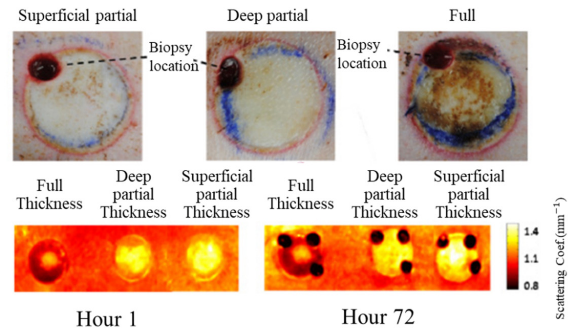 Photonics 08 00162 g003