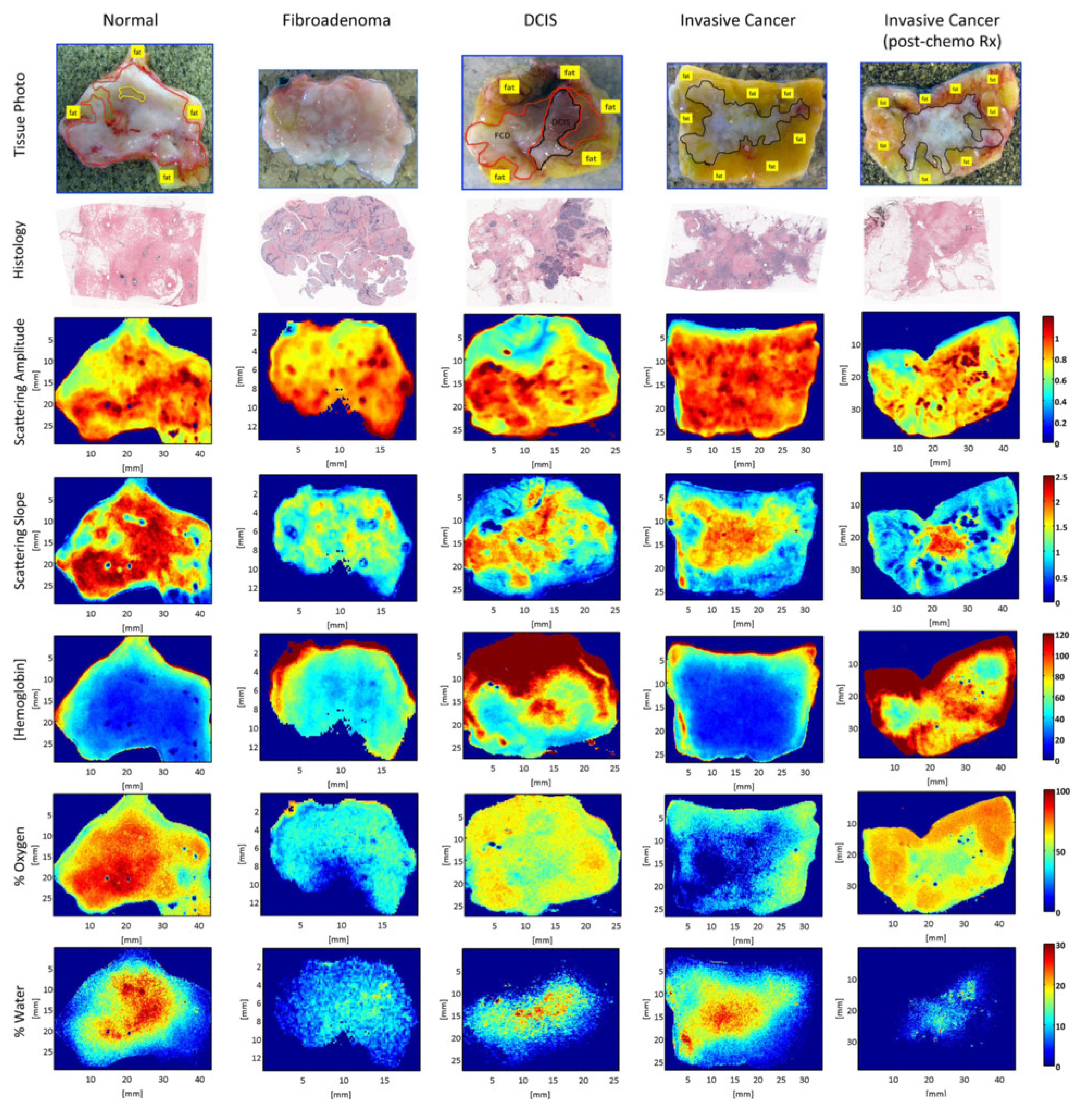 Photonics 08 00162 g005