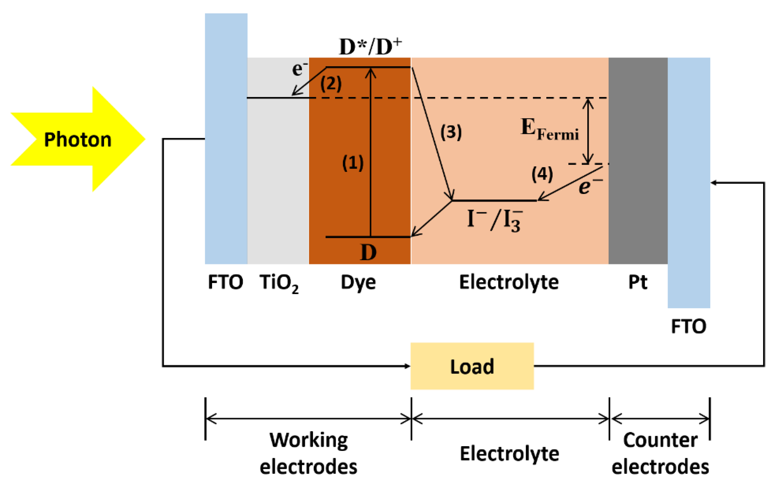 Photonics 08 00166 g001