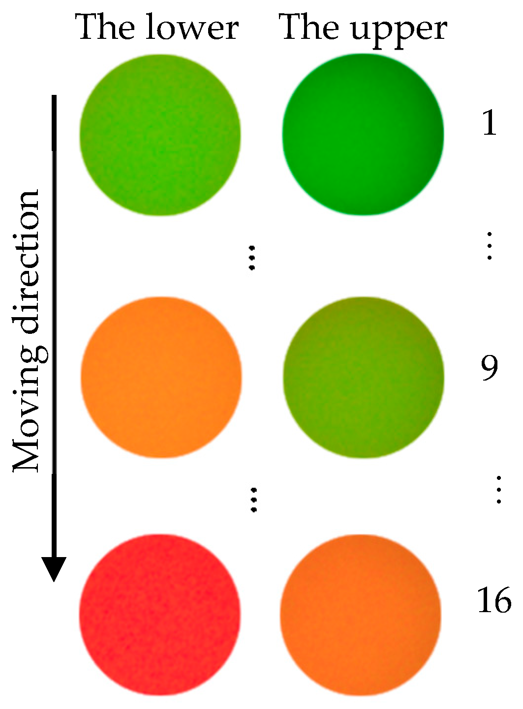 Photonics 08 00170 g010 Photonics 08 00170 g010