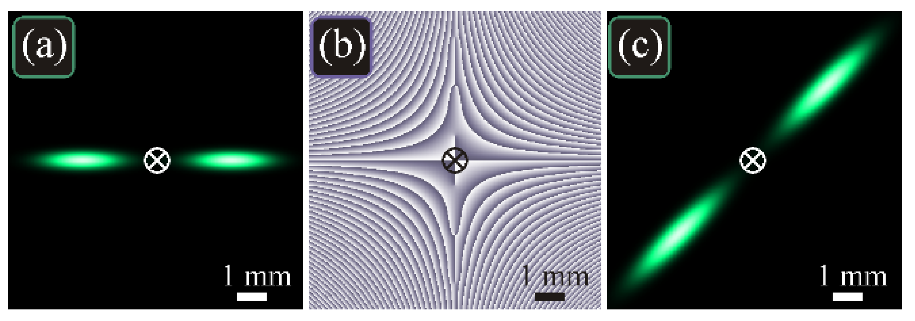 Photonics 08 00190 g004