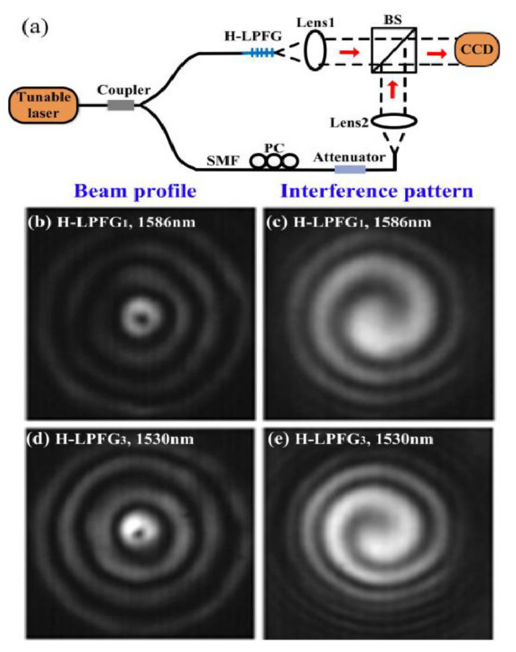 Photonics 08 00193 g010