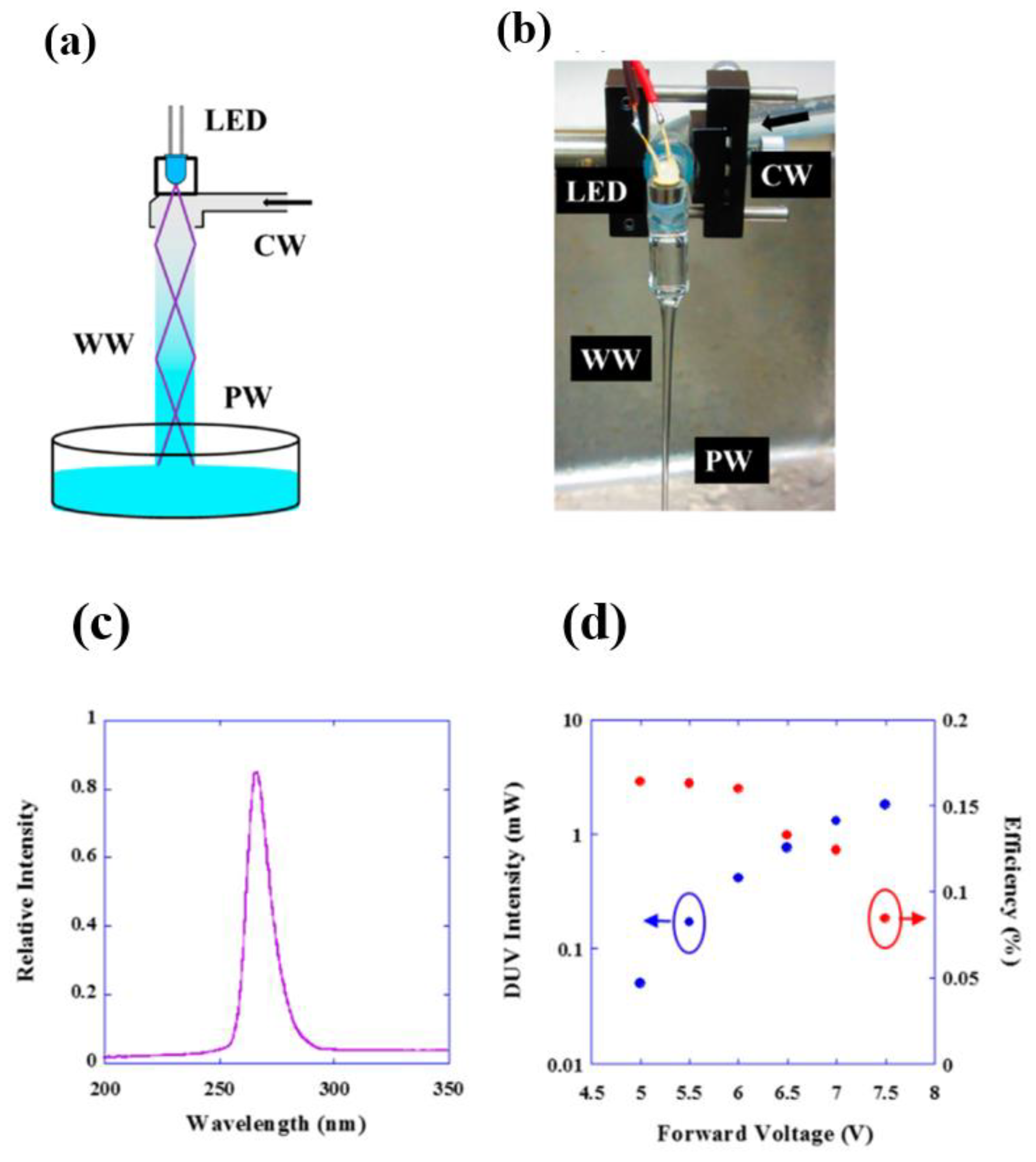 Photonics 08 00196 g009 Photonics 08 00196 g009