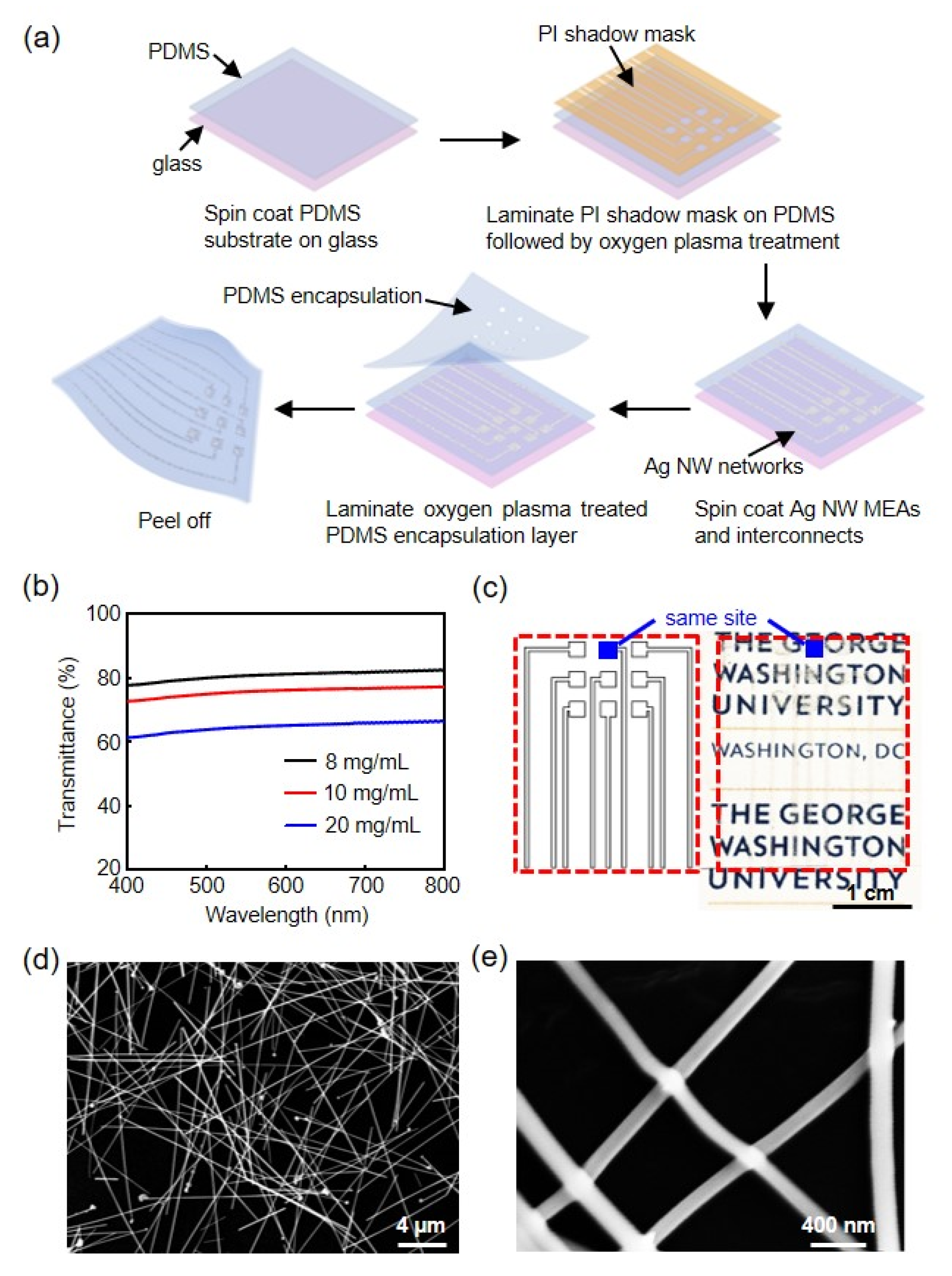 Photonics 08 00220 g001