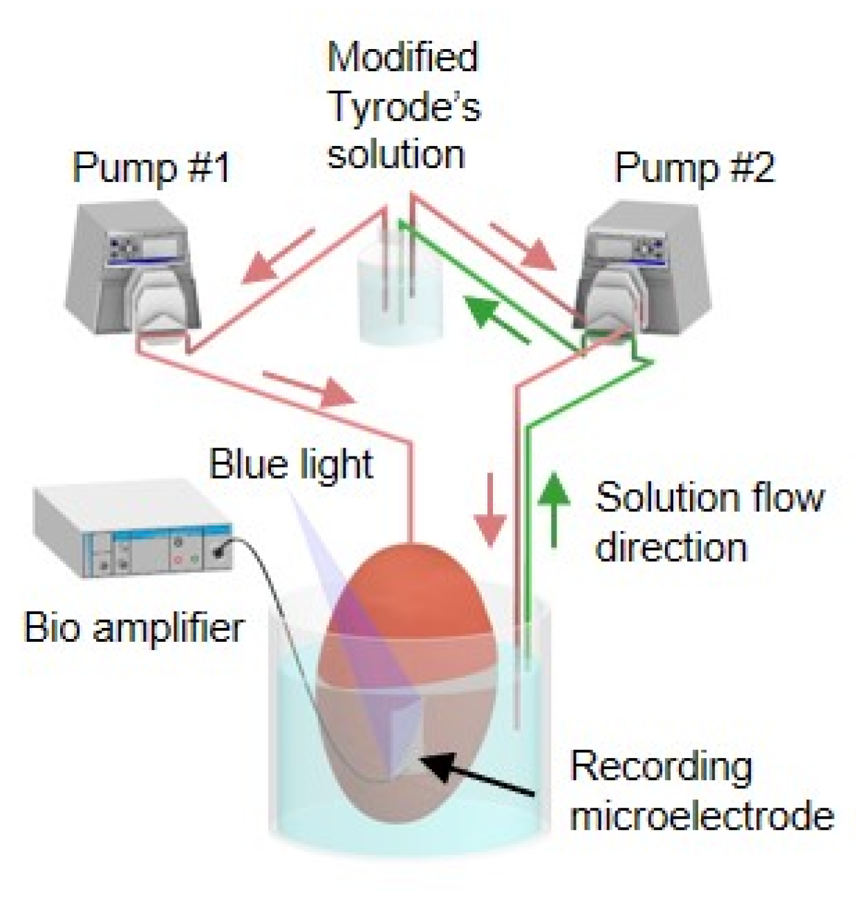 Photonics 08 00220 g005