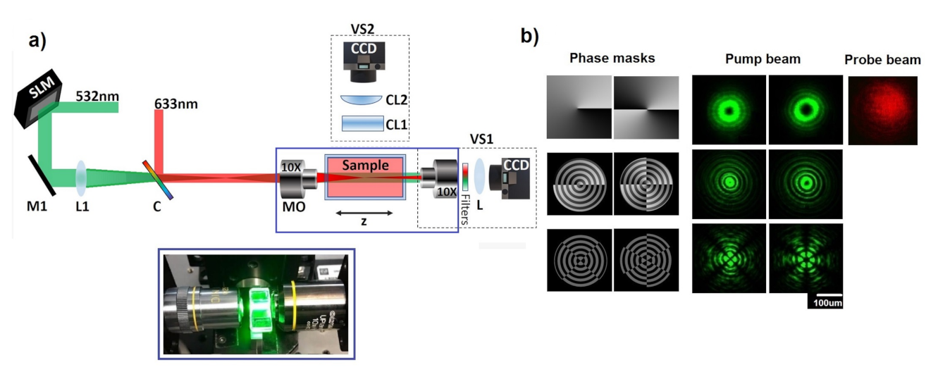 Photonics 08 00221 g002