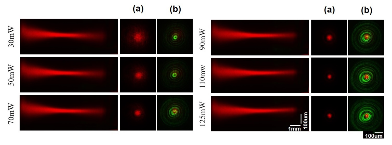 Photonics 08 00221 g006