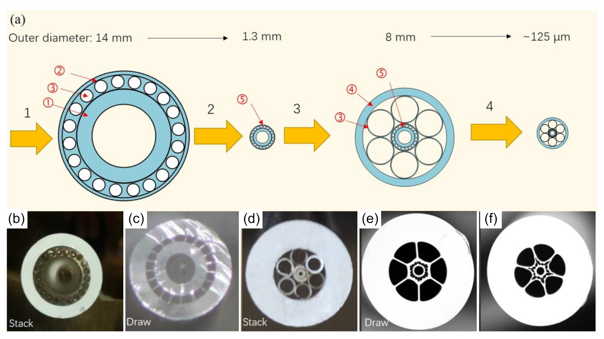 Photonics 08 00246 g012