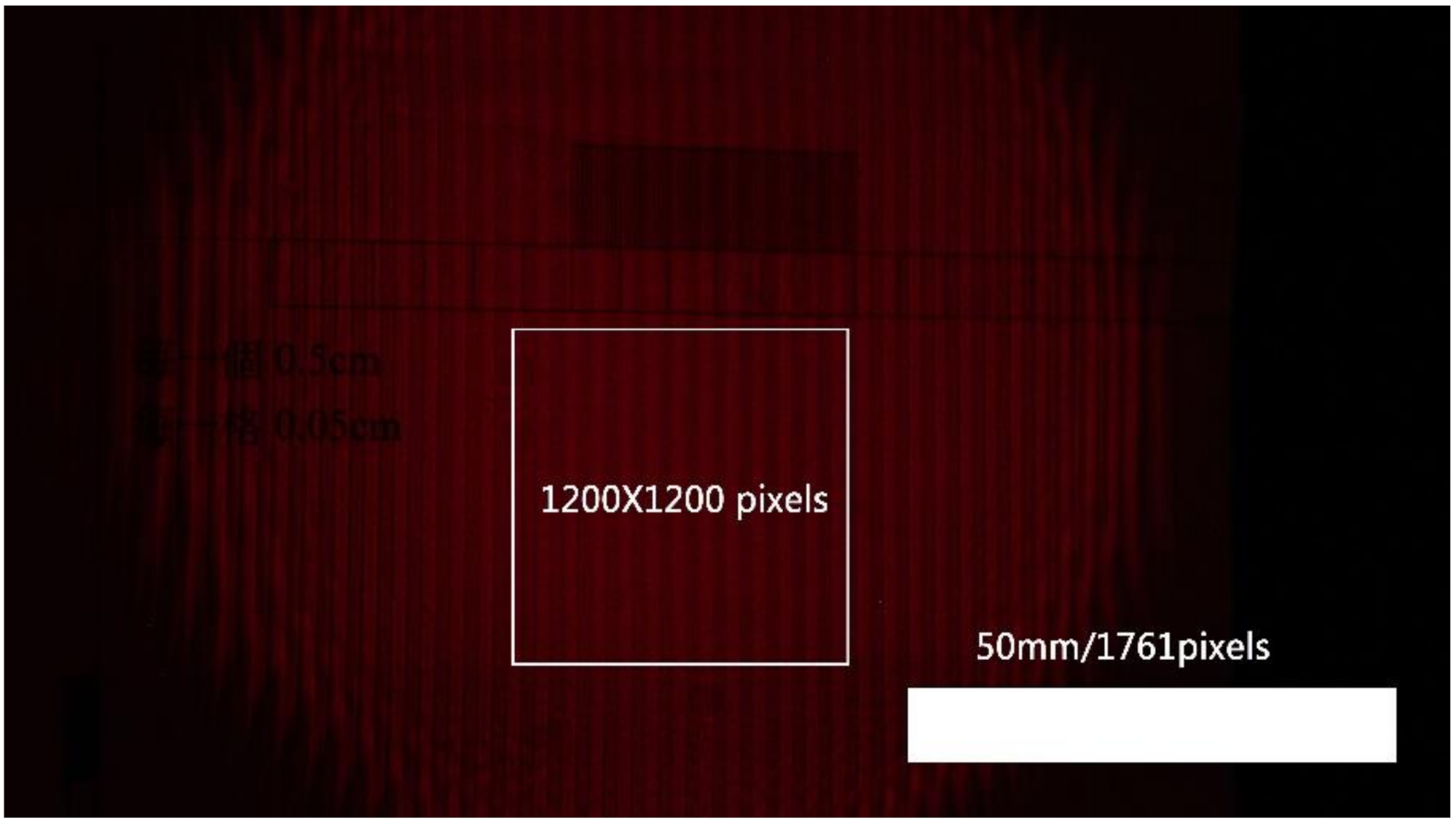 Photonics 08 00252 g006