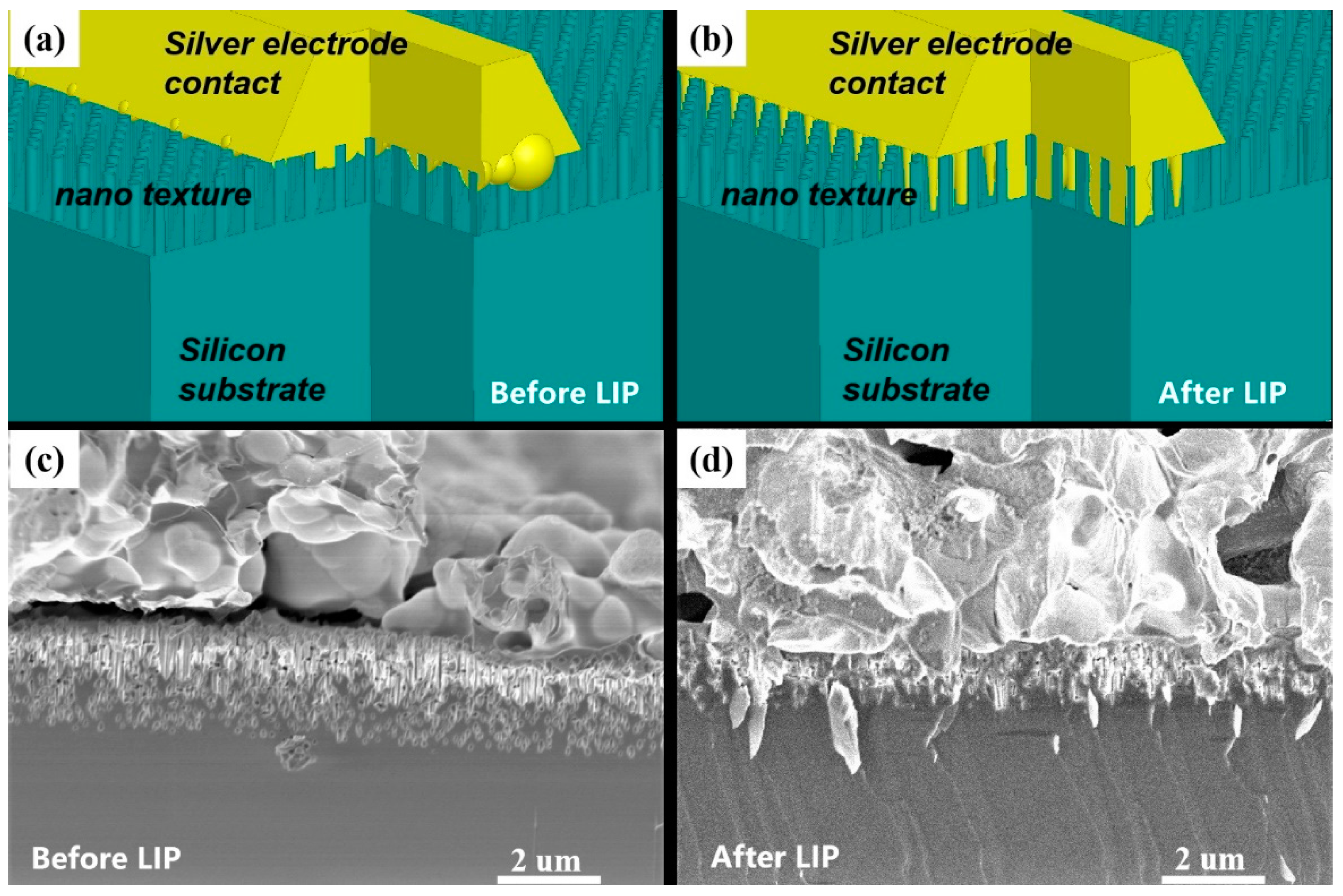 Photonics 08 00272 g008 Photonics 08 00272 g008