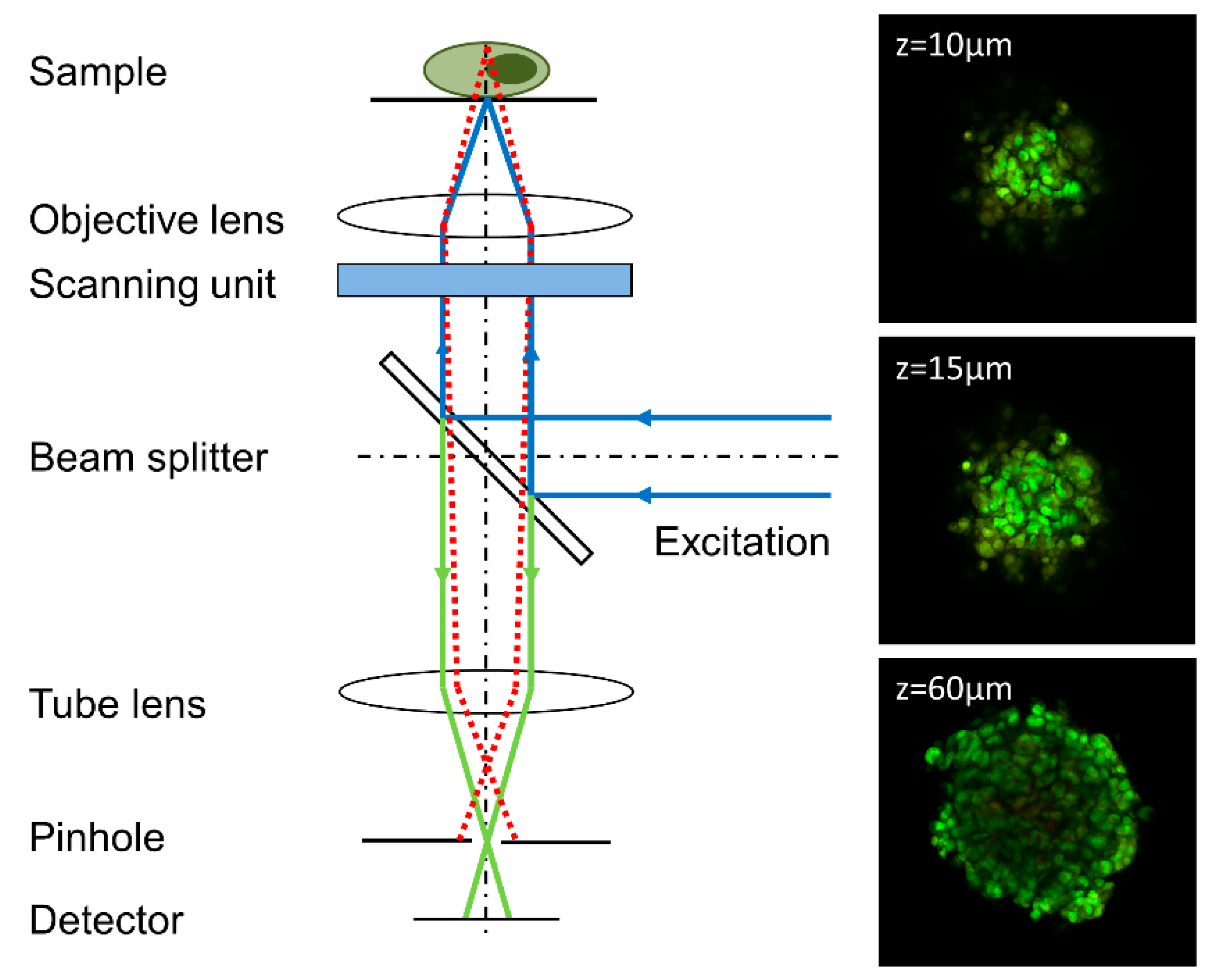 Photonics 08 00275 g003 Photonics 08 00275 g003