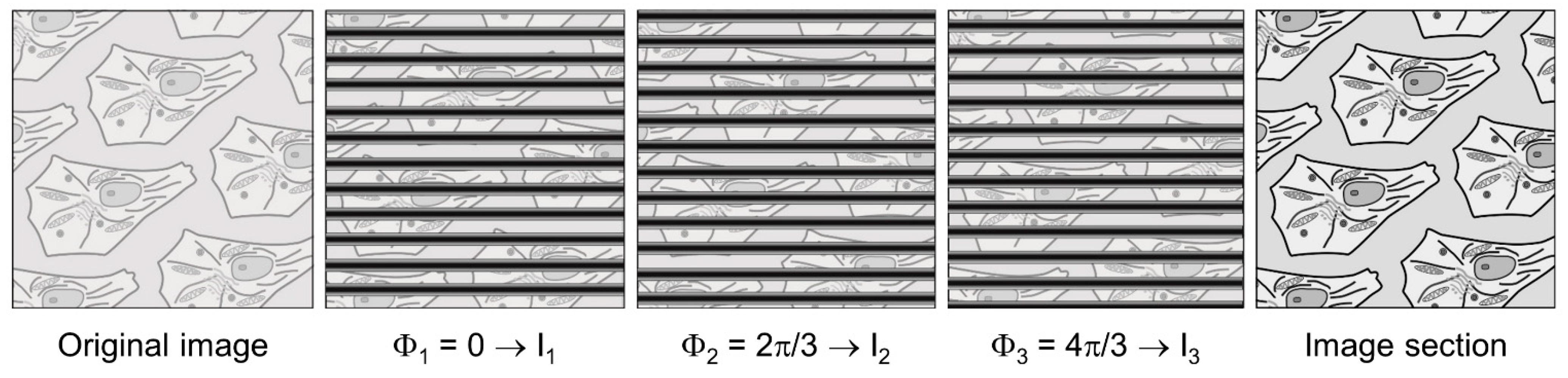 Photonics 08 00275 g004 Photonics 08 00275 g004