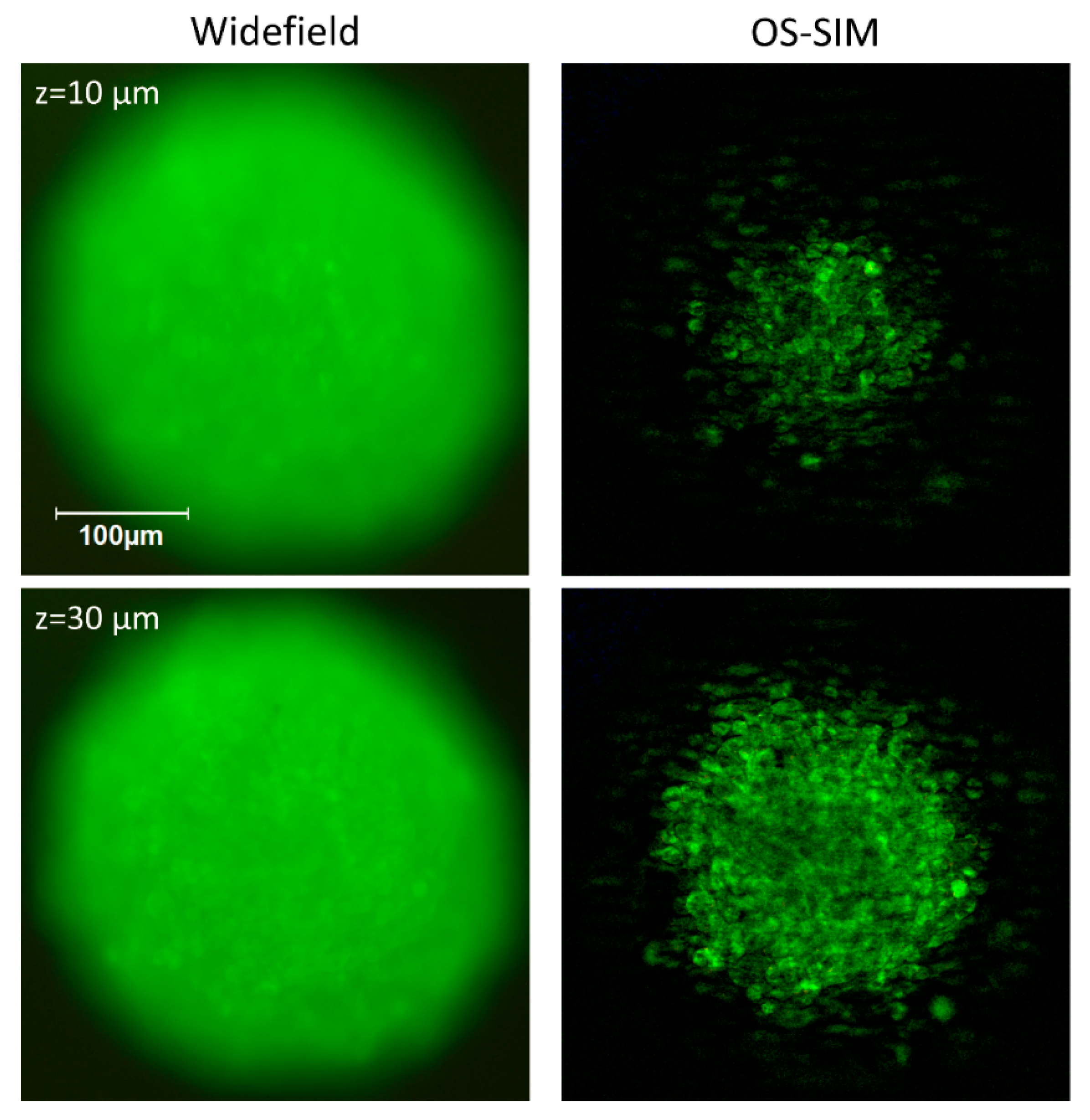 Photonics 08 00275 g005 Photonics 08 00275 g005