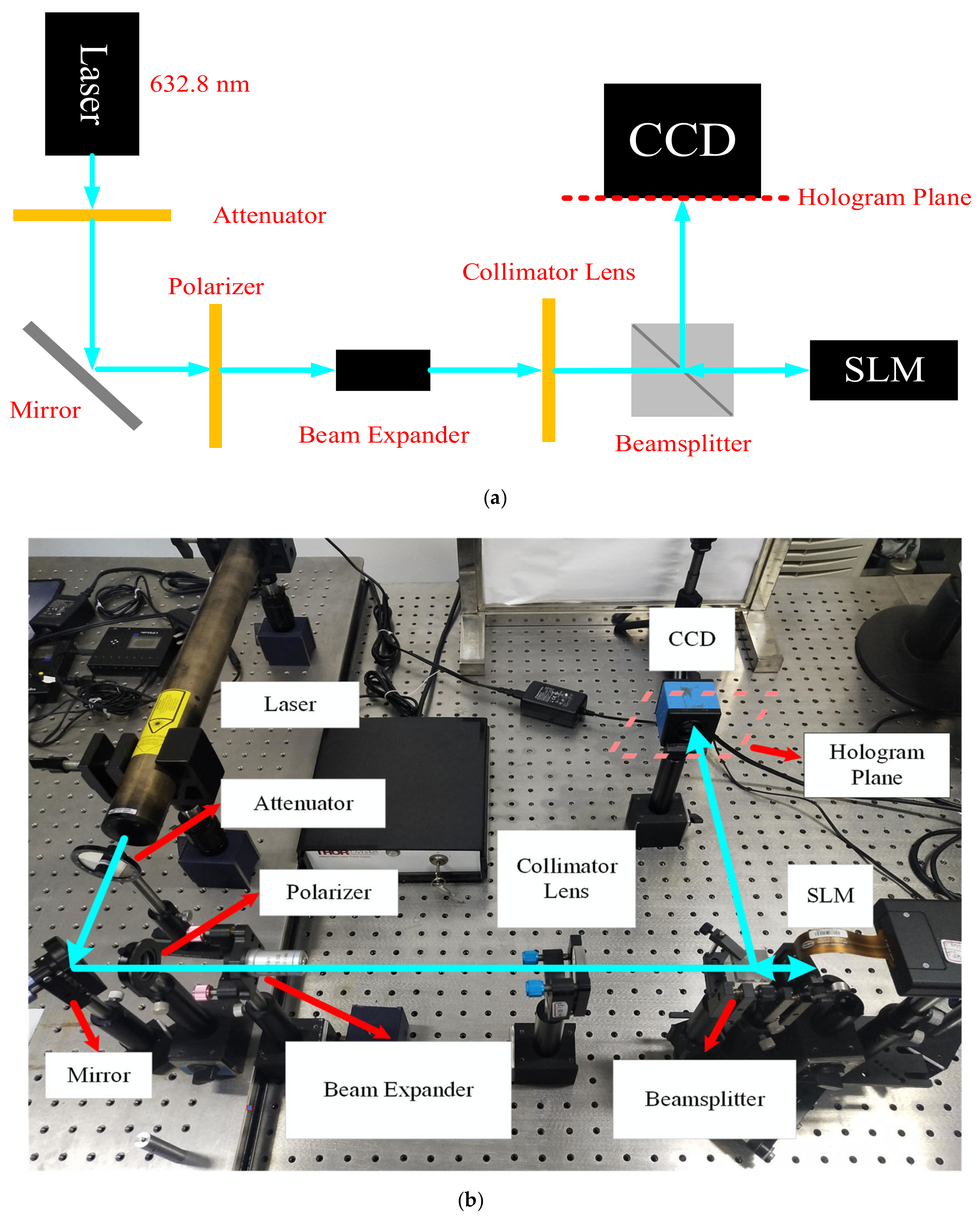 Photonics 08 00280 g008