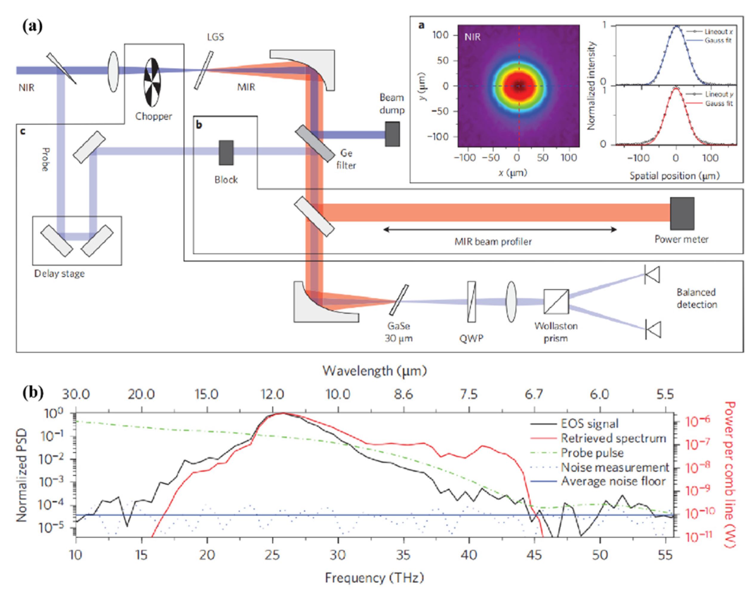 Photonics 08 00290 g015