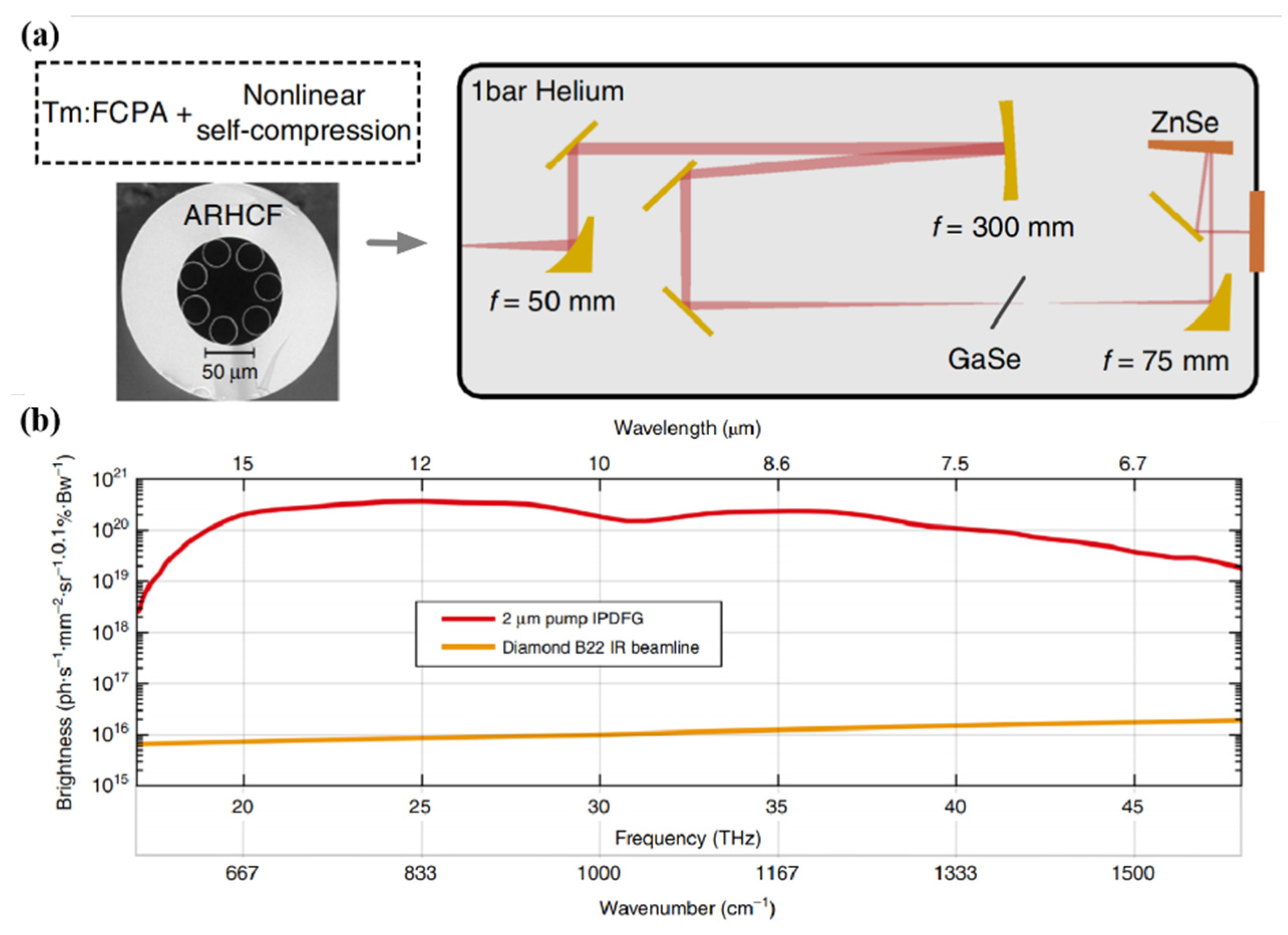 Photonics 08 00290 g016