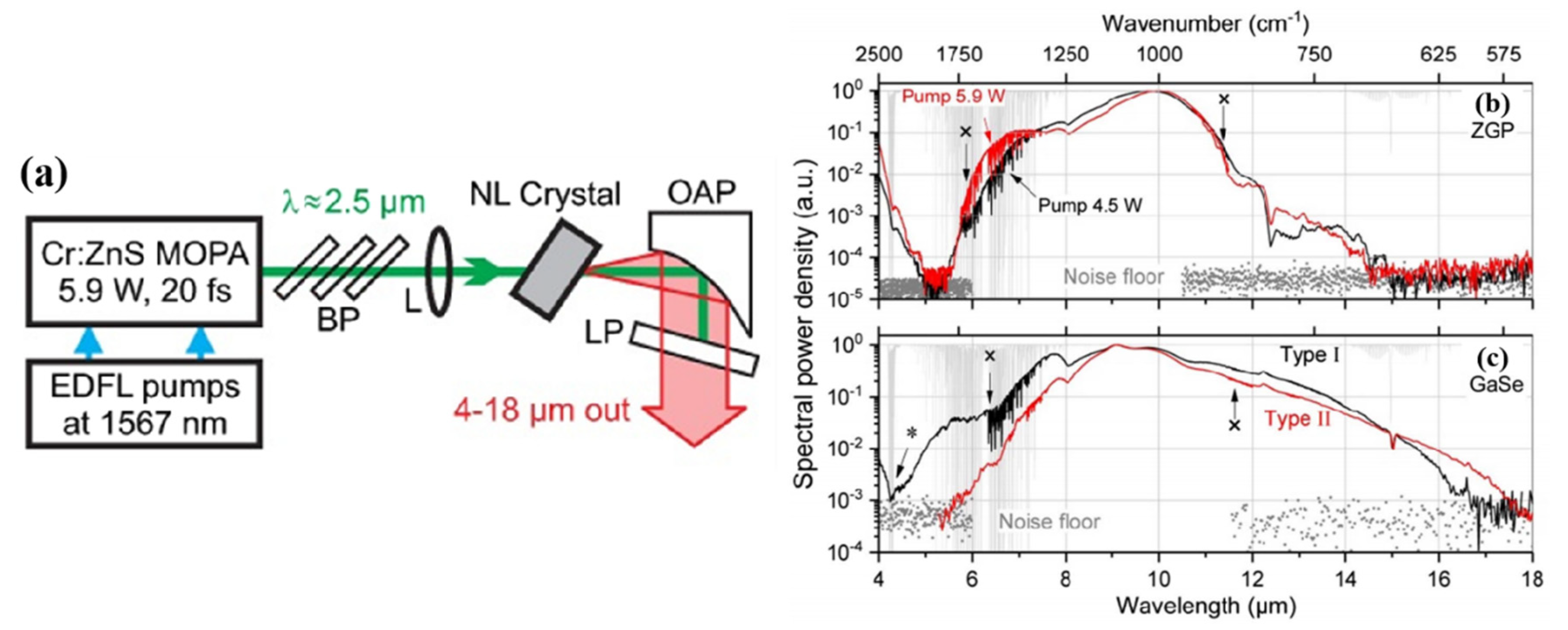 Photonics 08 00290 g019