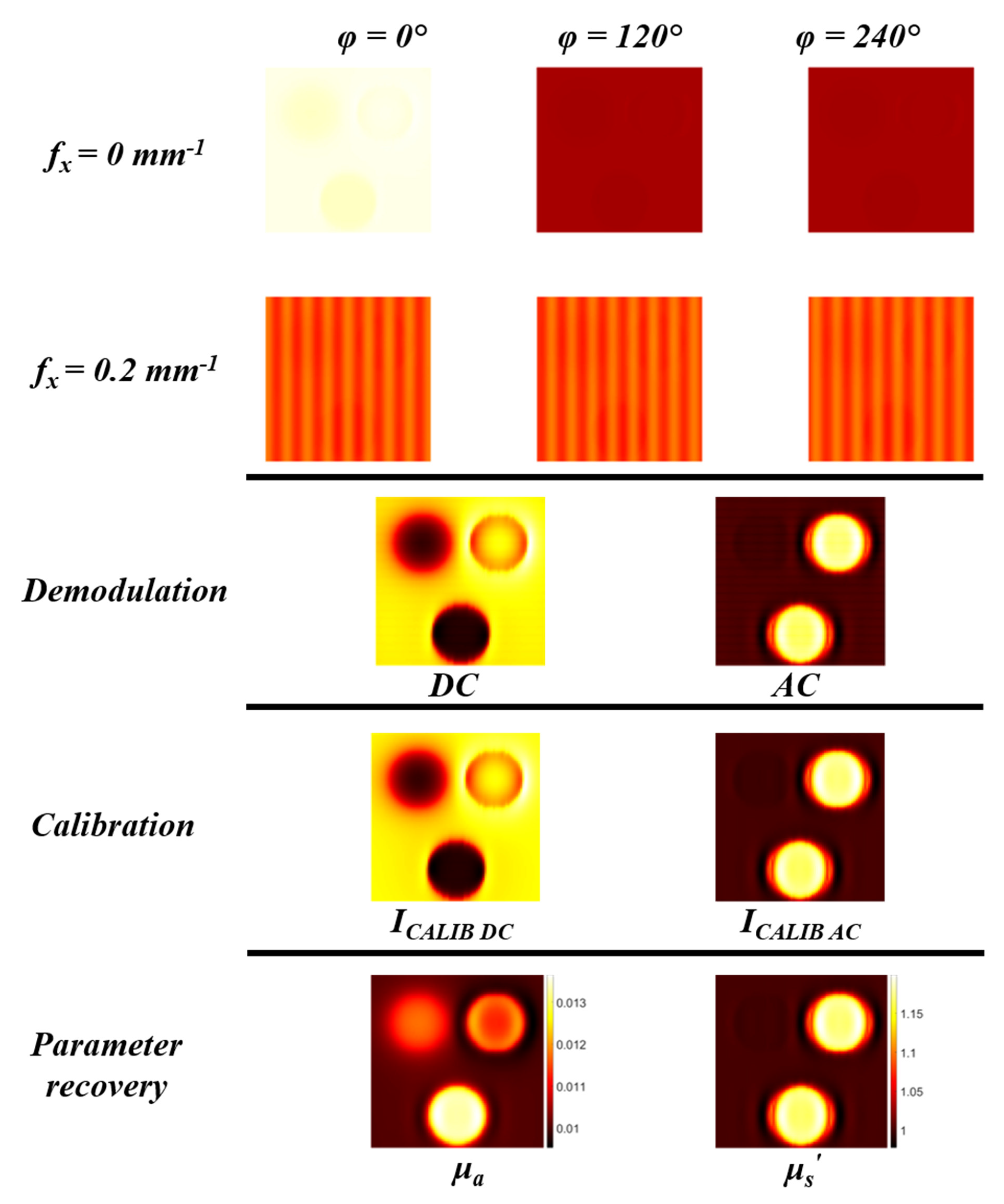 Photonics 08 00310 g010