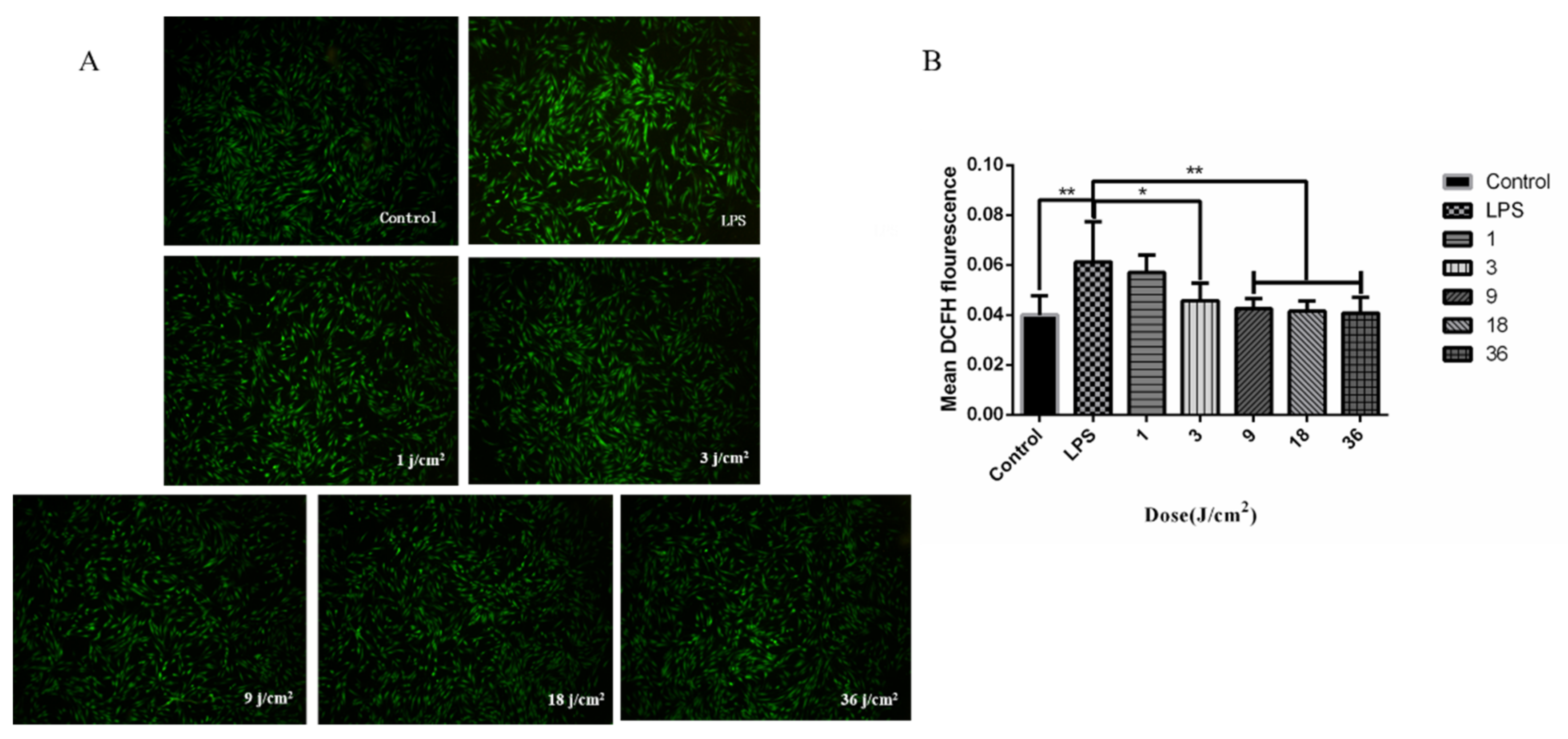 Photonics 08 00360 g004