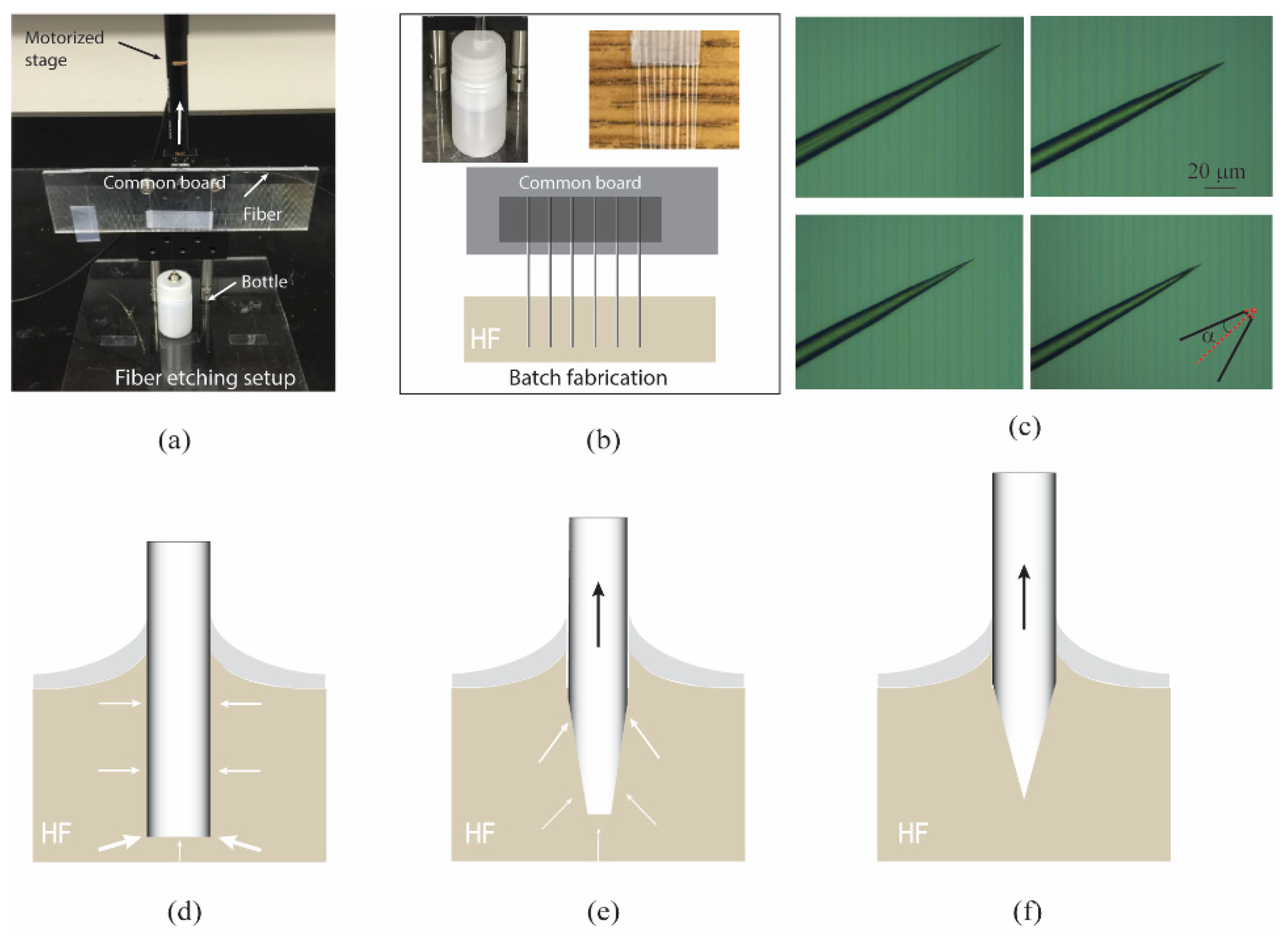Photonics 08 00367 g001