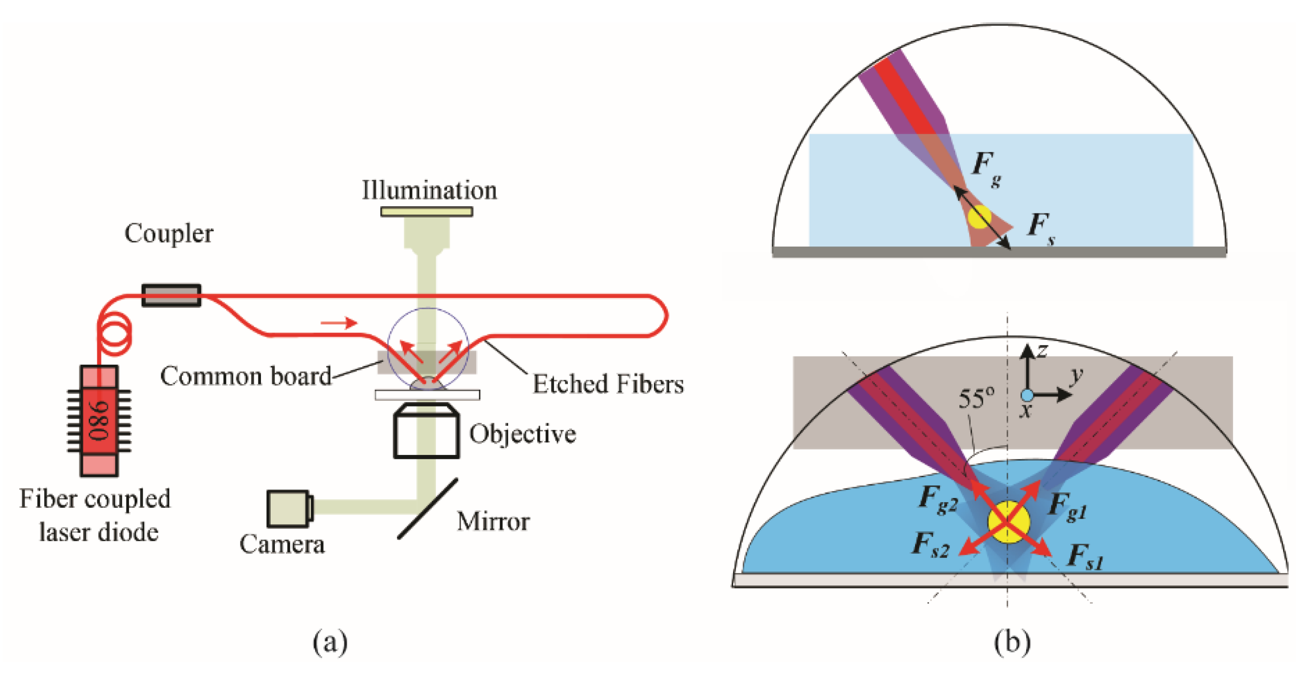 Photonics 08 00367 g002