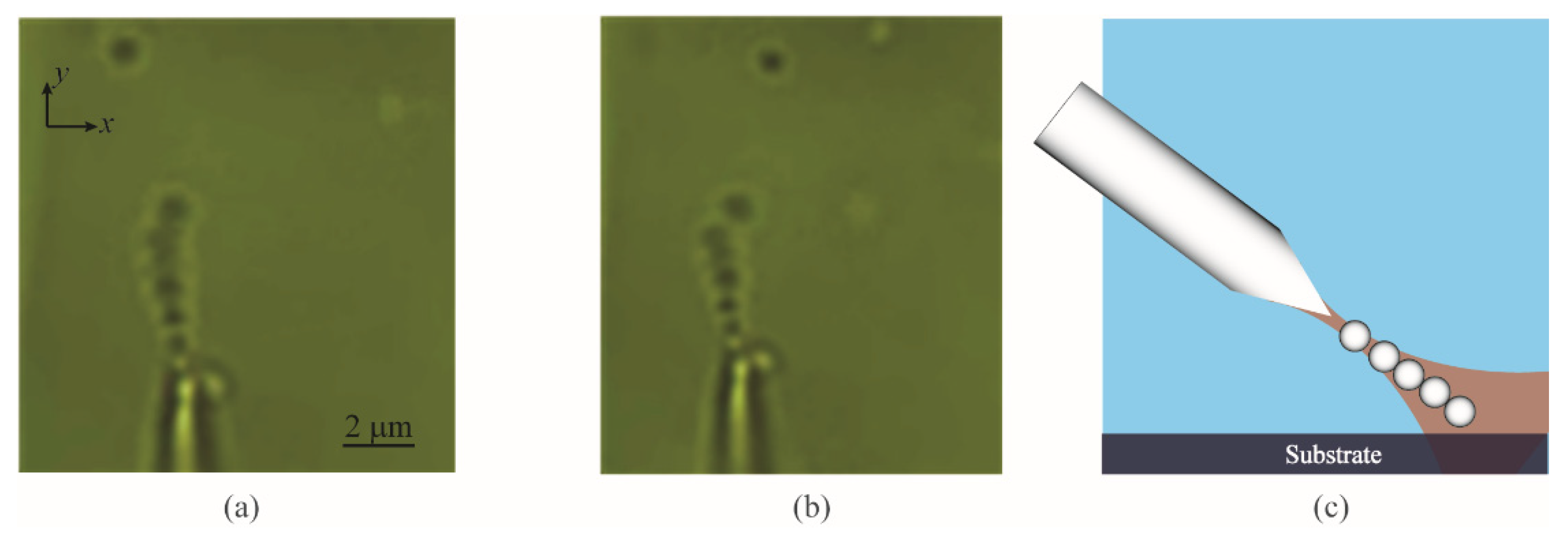 Photonics 08 00367 g004