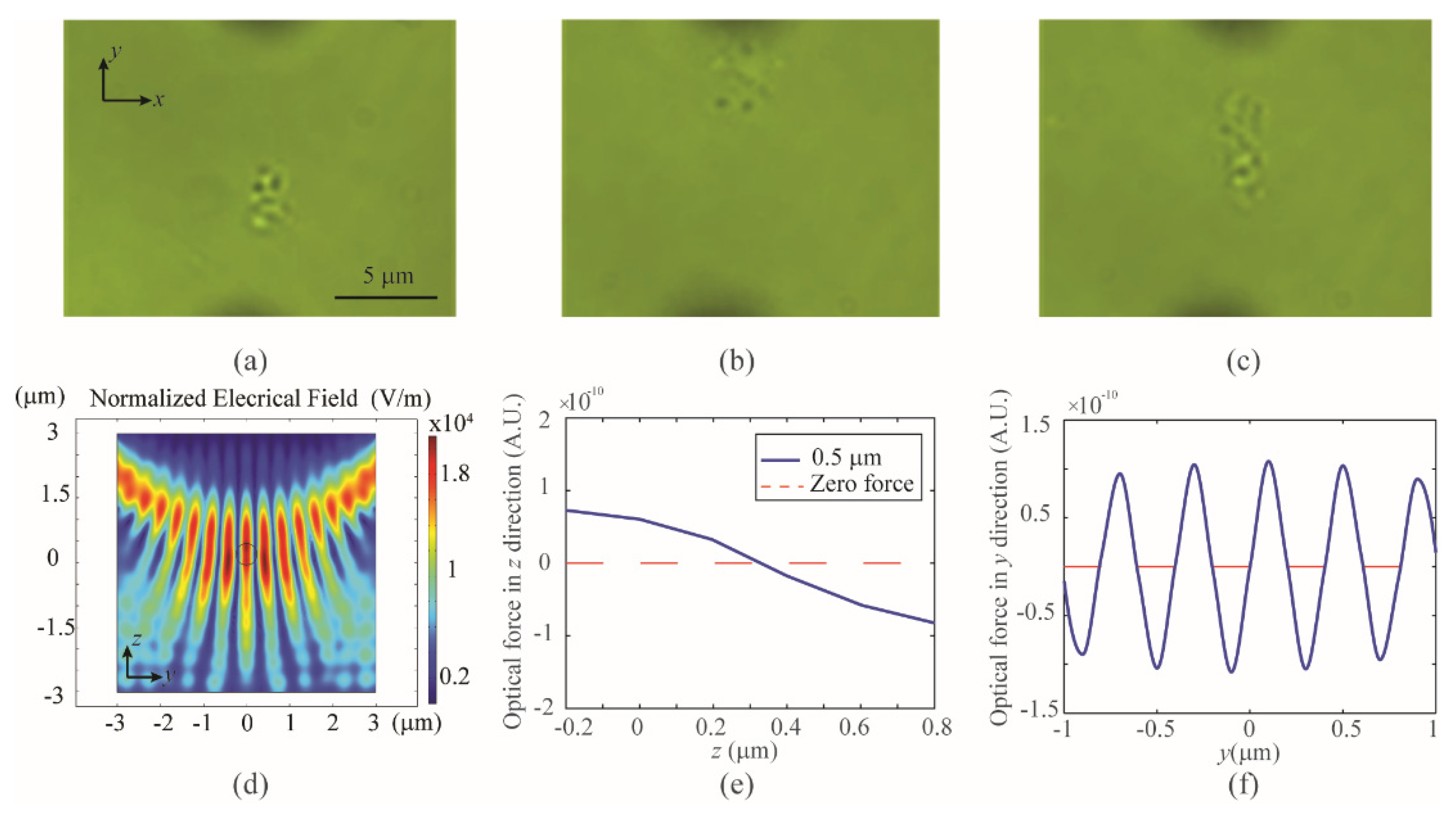 Photonics 08 00367 g005
