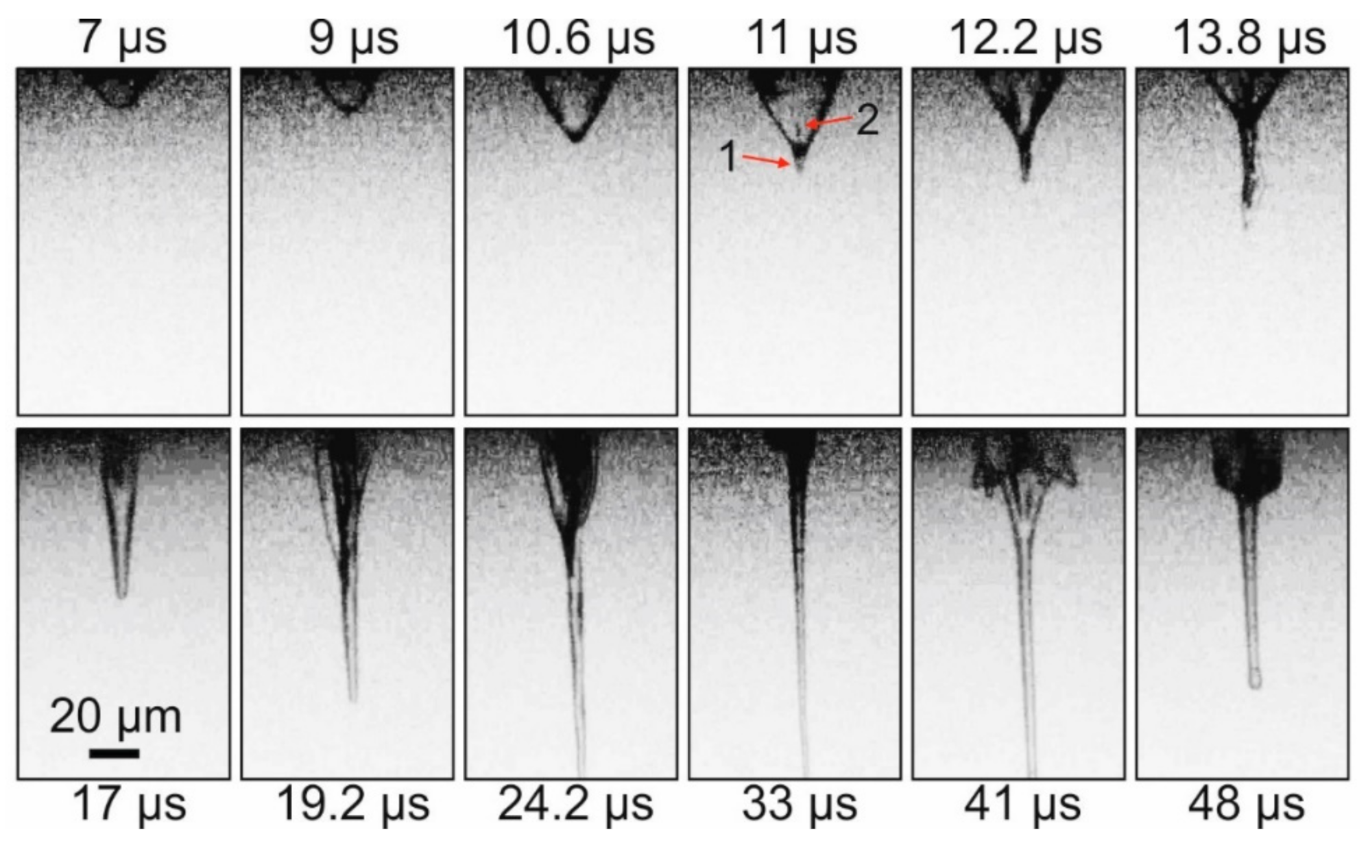 Photonics 08 00374 g002
