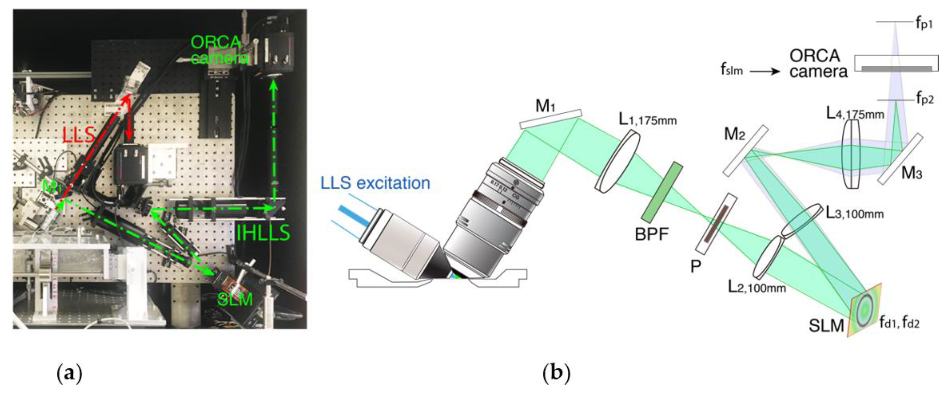 Photonics 08 00383 g001