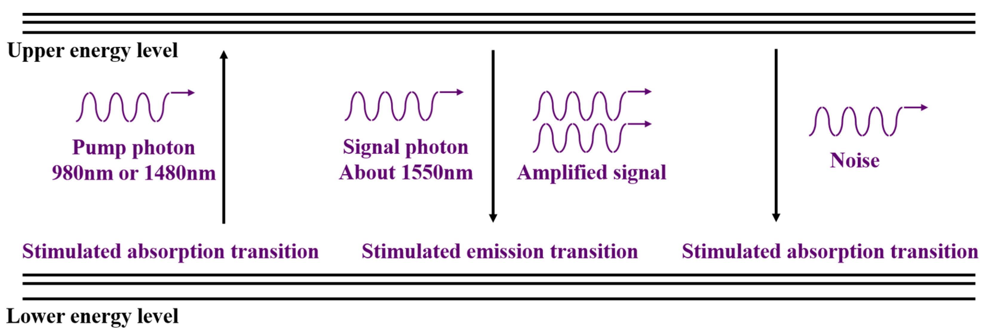 Photonics 08 00417 g001