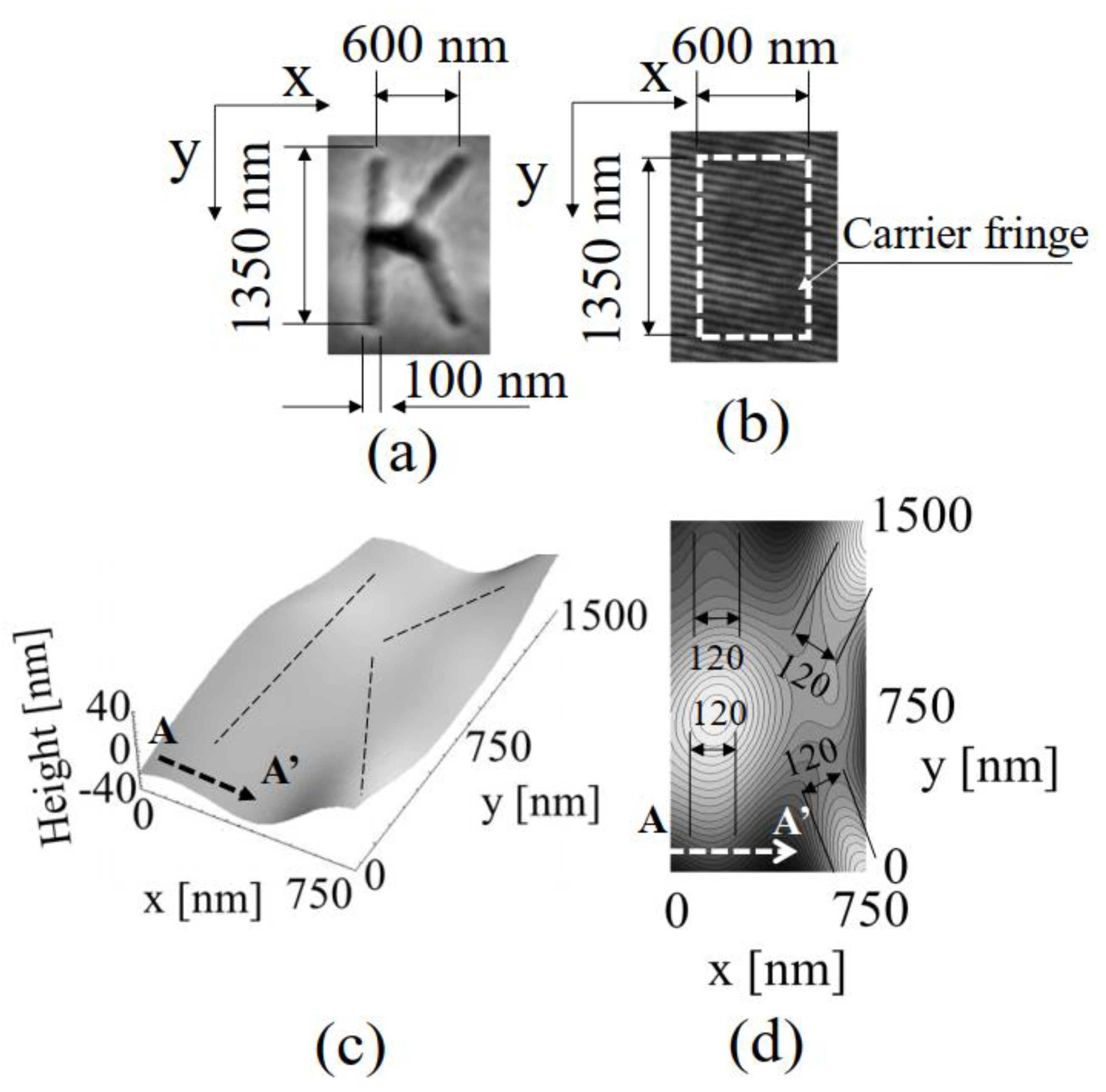 Photonics 08 00420 g013 Photonics 08 00420 g013